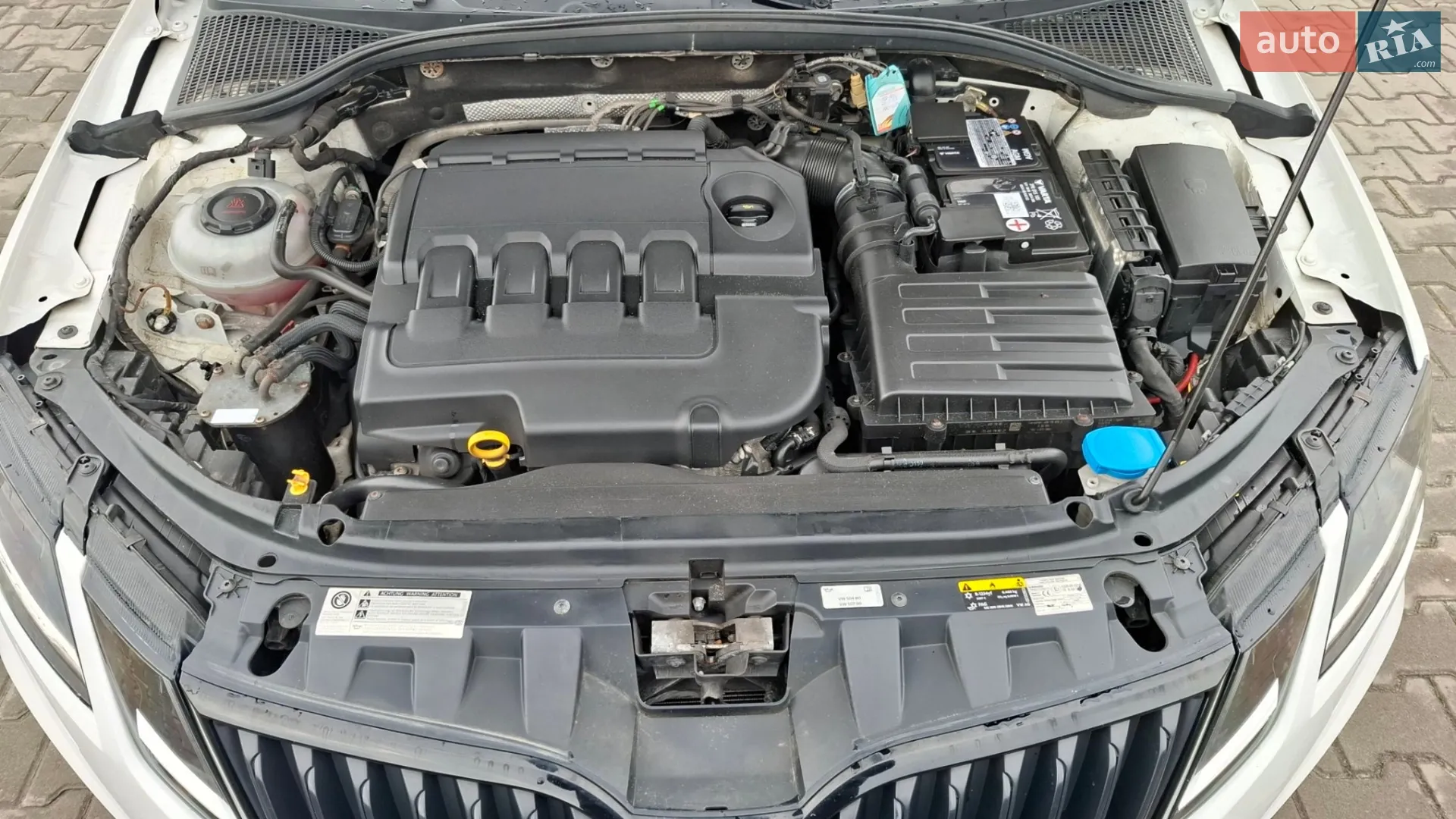 2019 Skoda Octavia - мініатюра 65