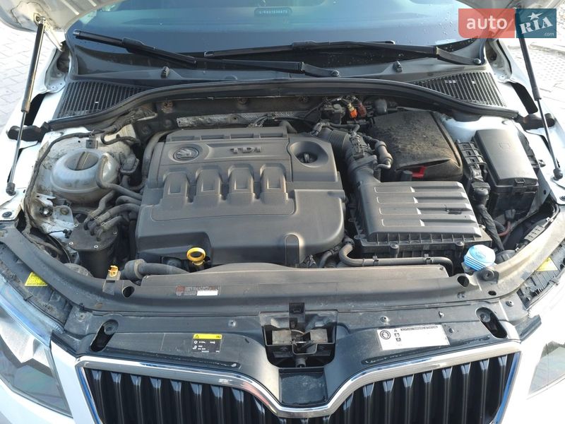 Універсал Skoda Octavia 2014 в Звягелі
