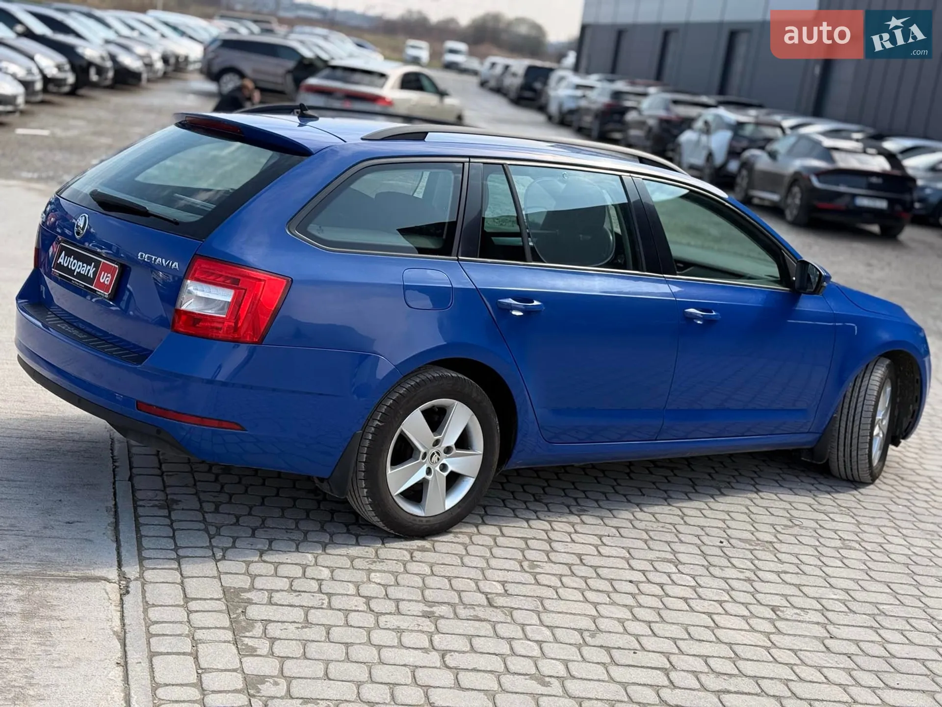 2020 Skoda Octavia - мініатюра 9