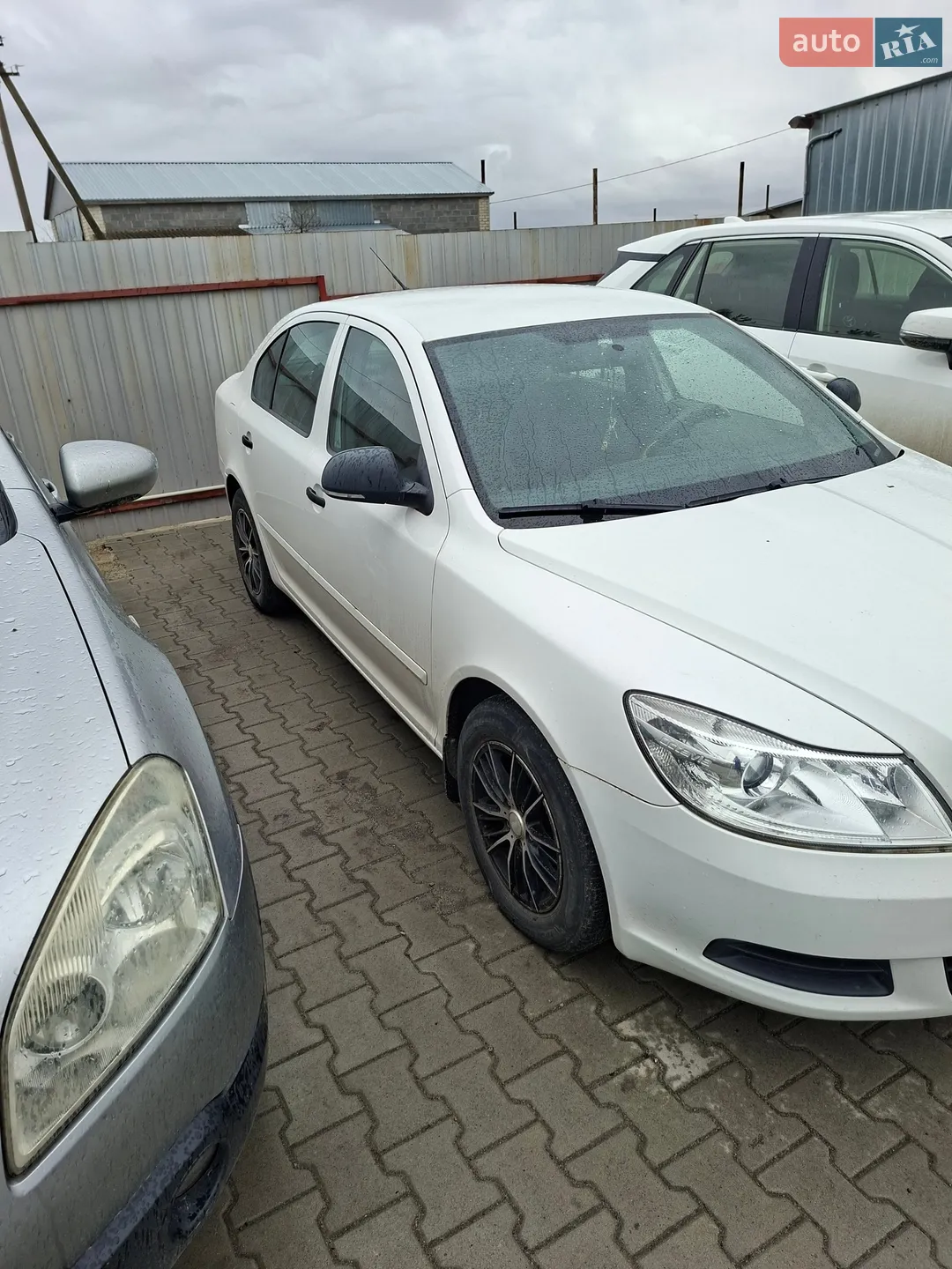 2010 Skoda Octavia - мініатюра 3