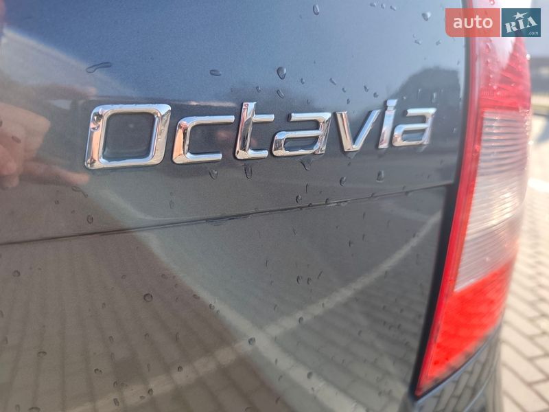 Універсал Skoda Octavia 2010 в Старокостянтинові
