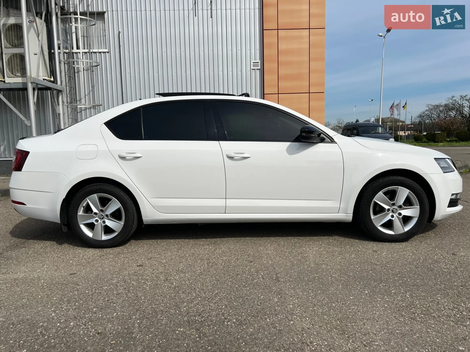 2019 Skoda Octavia - мініатюра 8
