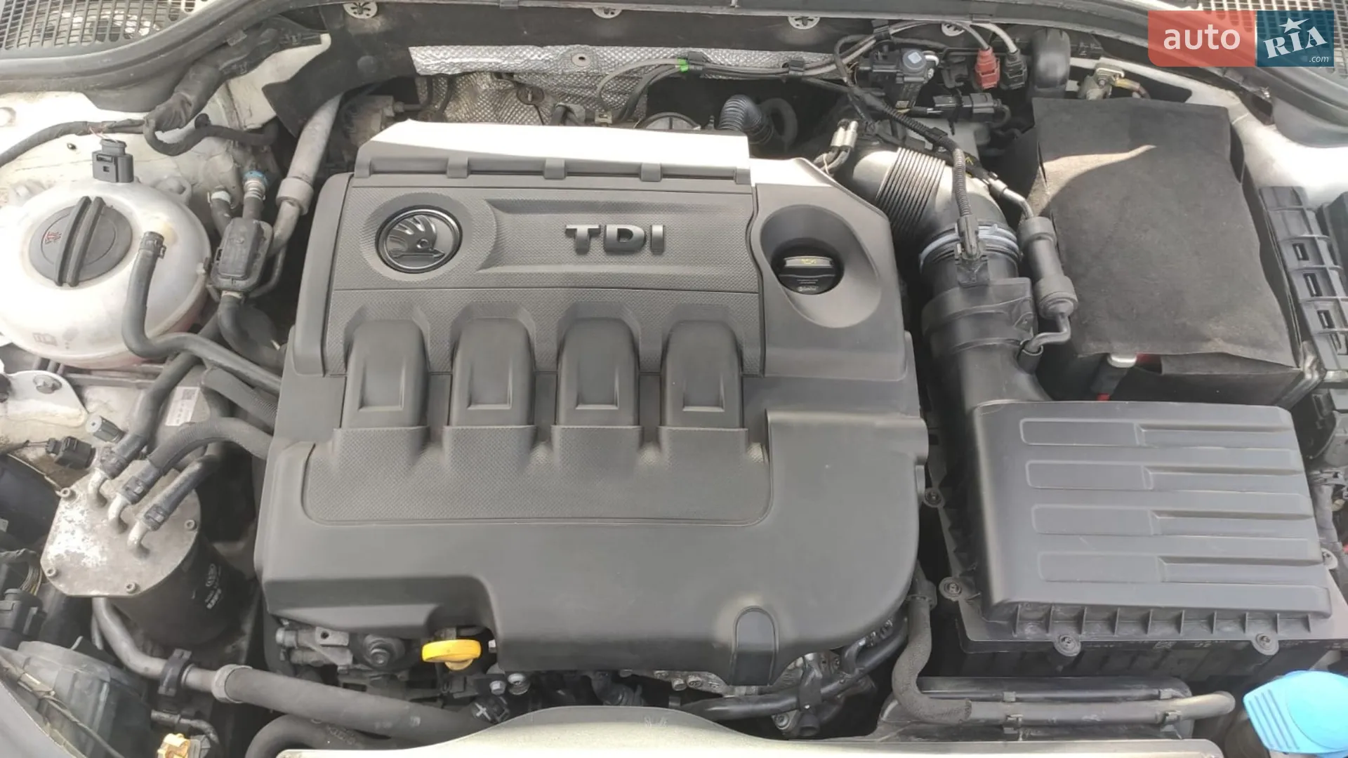 2016 Skoda Octavia - мініатюра 2