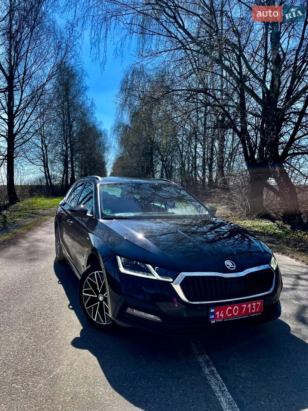2021 Skoda Octavia - мініатюра 24