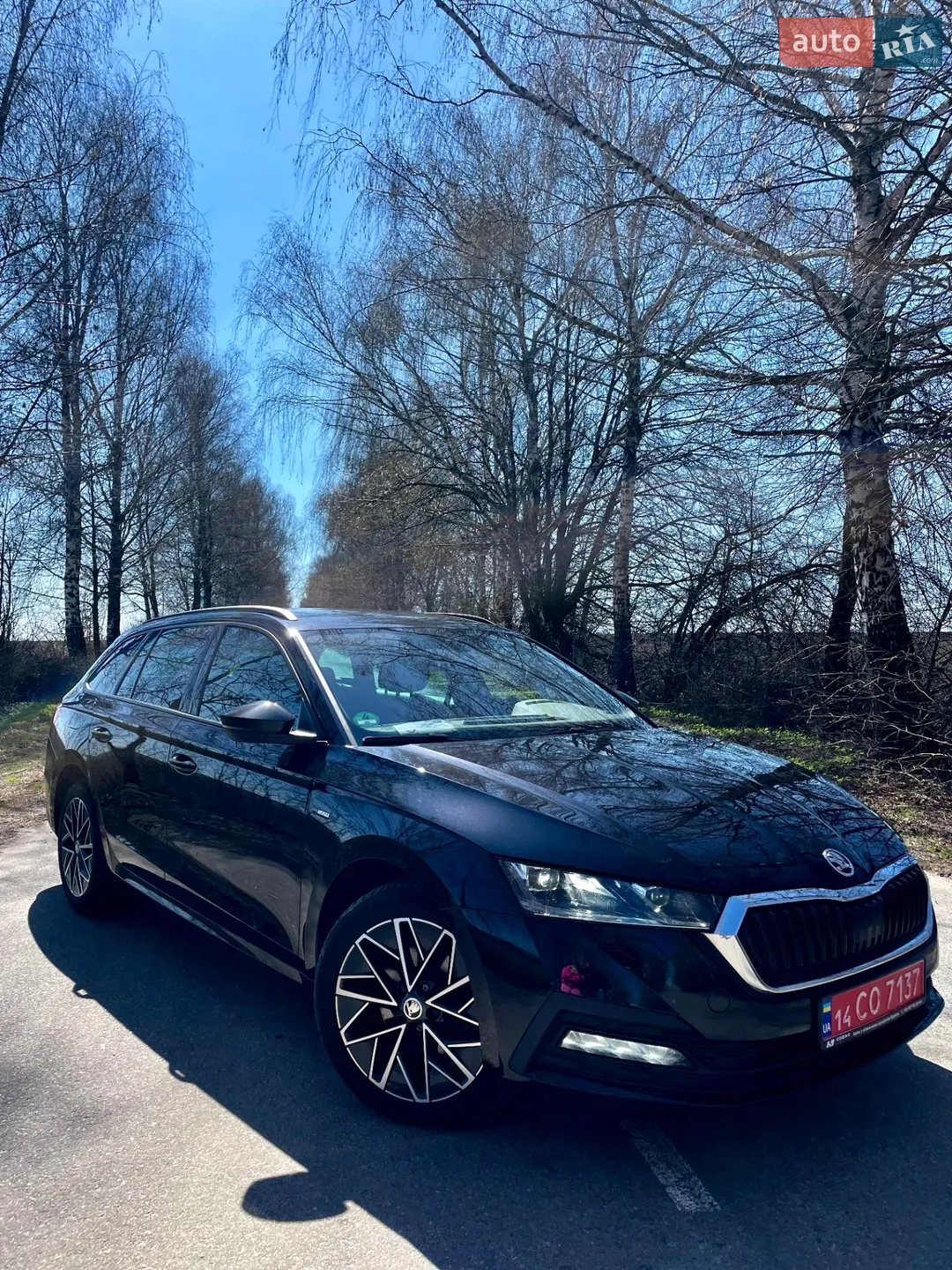 2021 Skoda Octavia - мініатюра 31