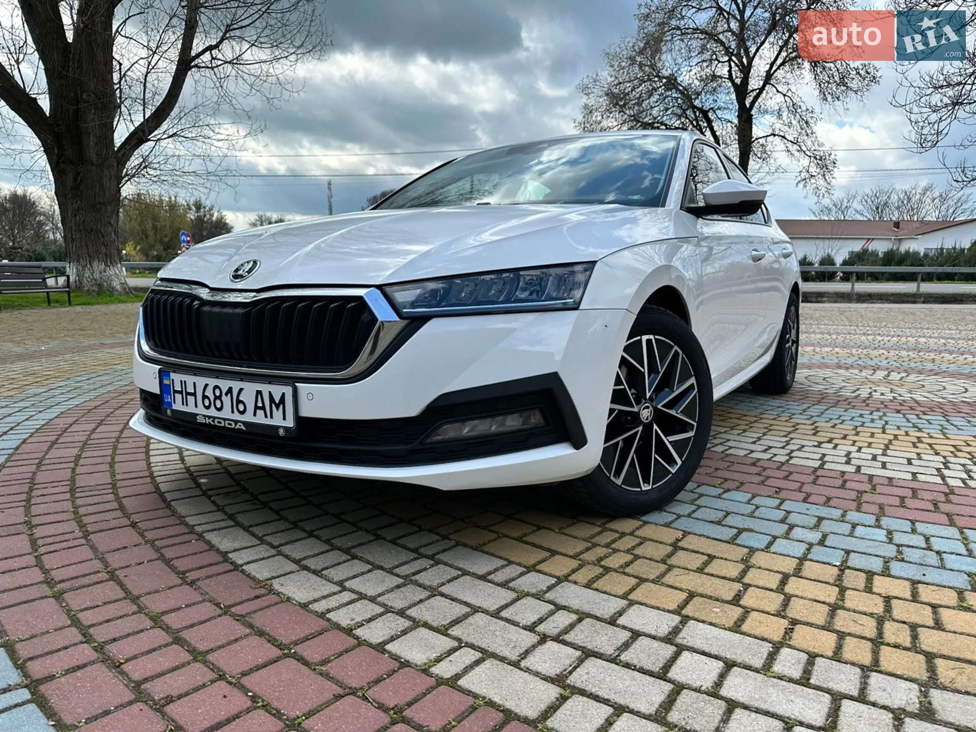 2020 Skoda Octavia - фото 1