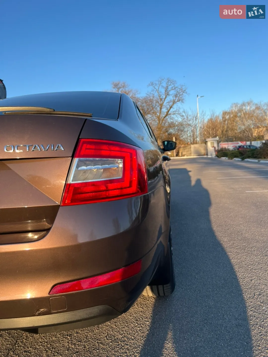 2014 Skoda Octavia - мініатюра 8