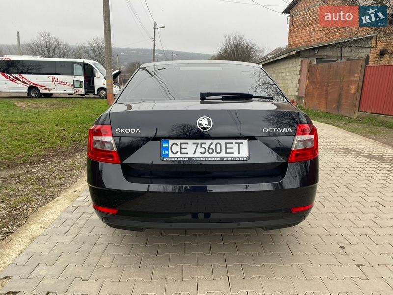 Лифтбек Skoda Octavia 2017 в Черновцах фото 6 Лифтбек Skoda Octavia 2017 в Черновцах