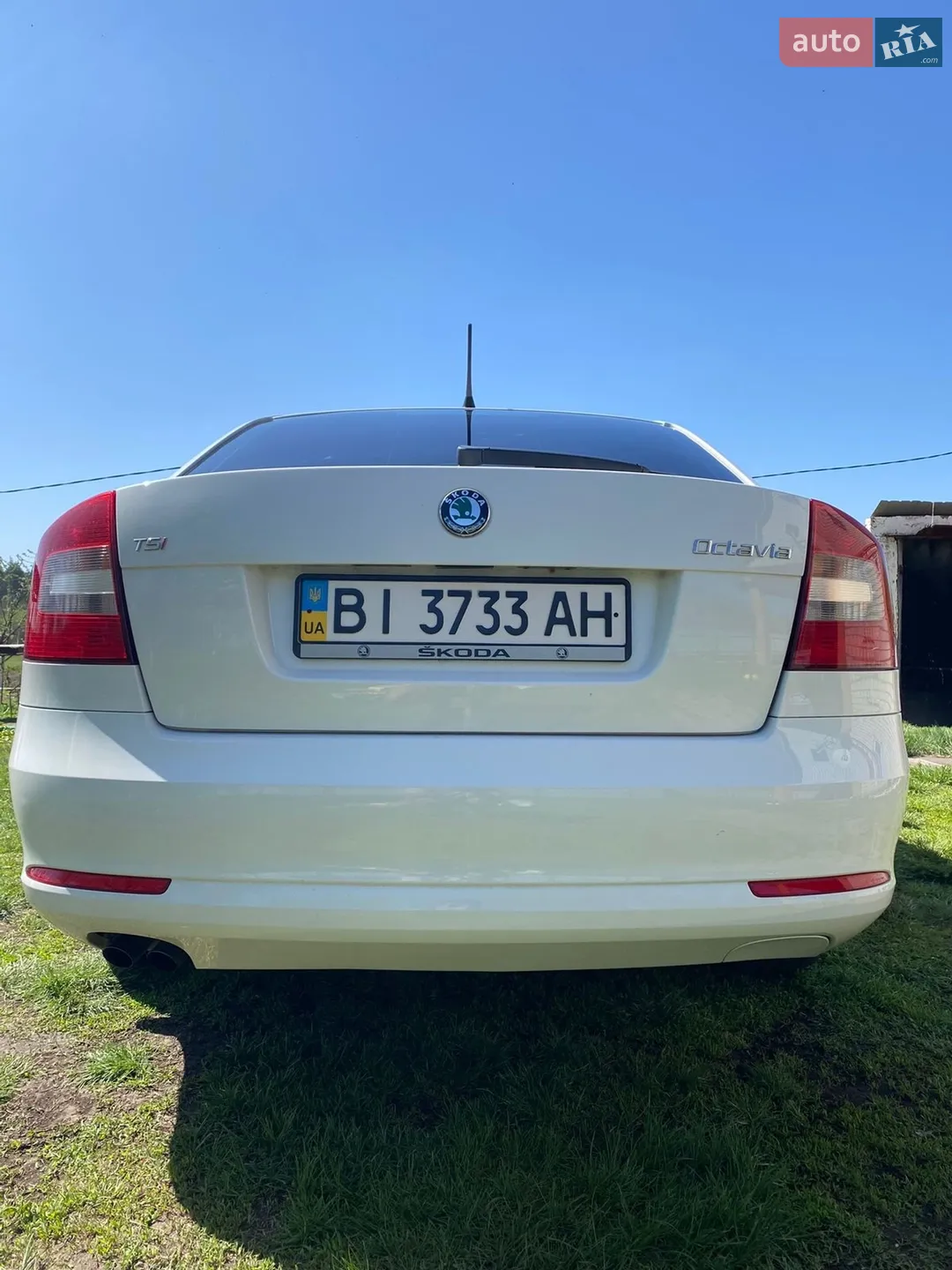 2011 Skoda Octavia - мініатюра 6