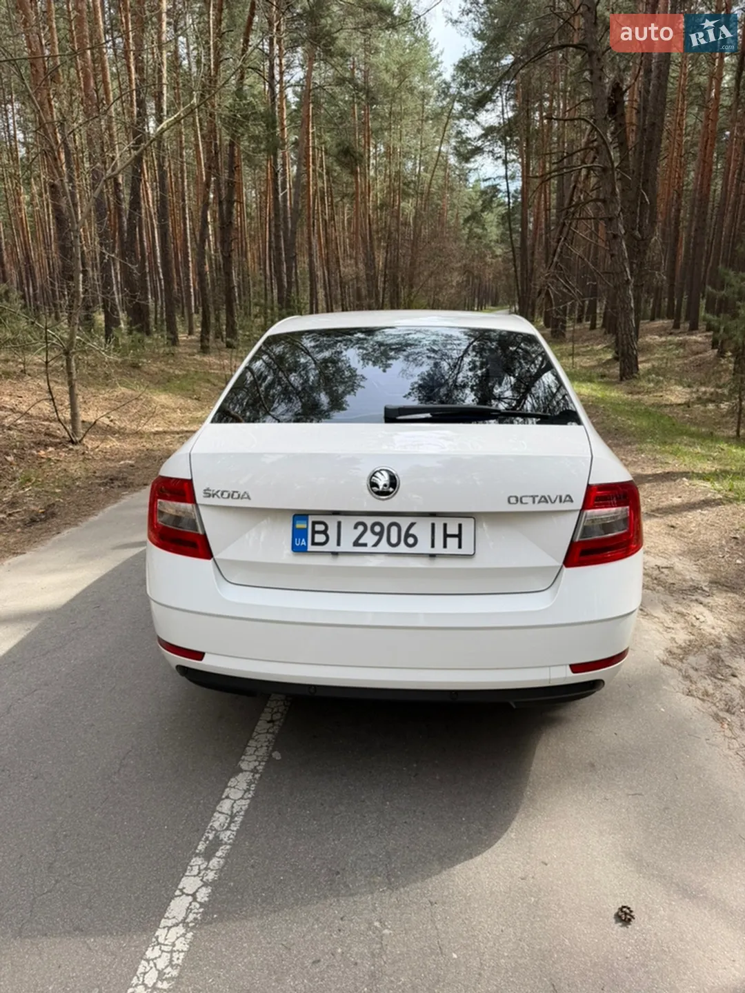 2019 Skoda Octavia - мініатюра 6