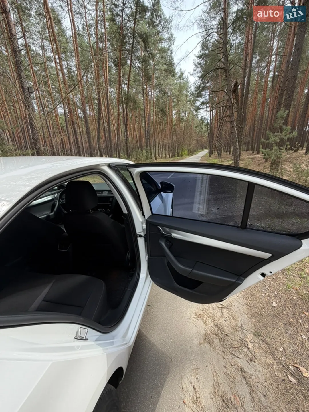 2019 Skoda Octavia - мініатюра 12