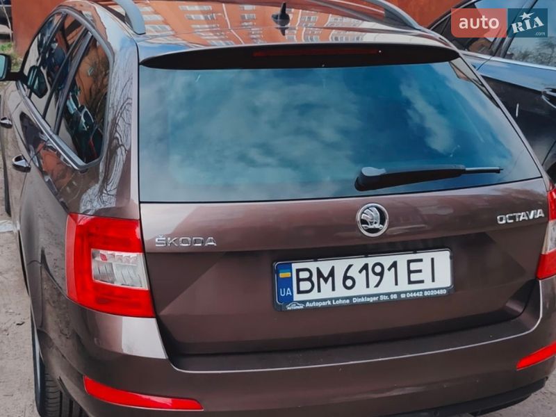 Універсал Skoda Octavia 2014 в Ромнах