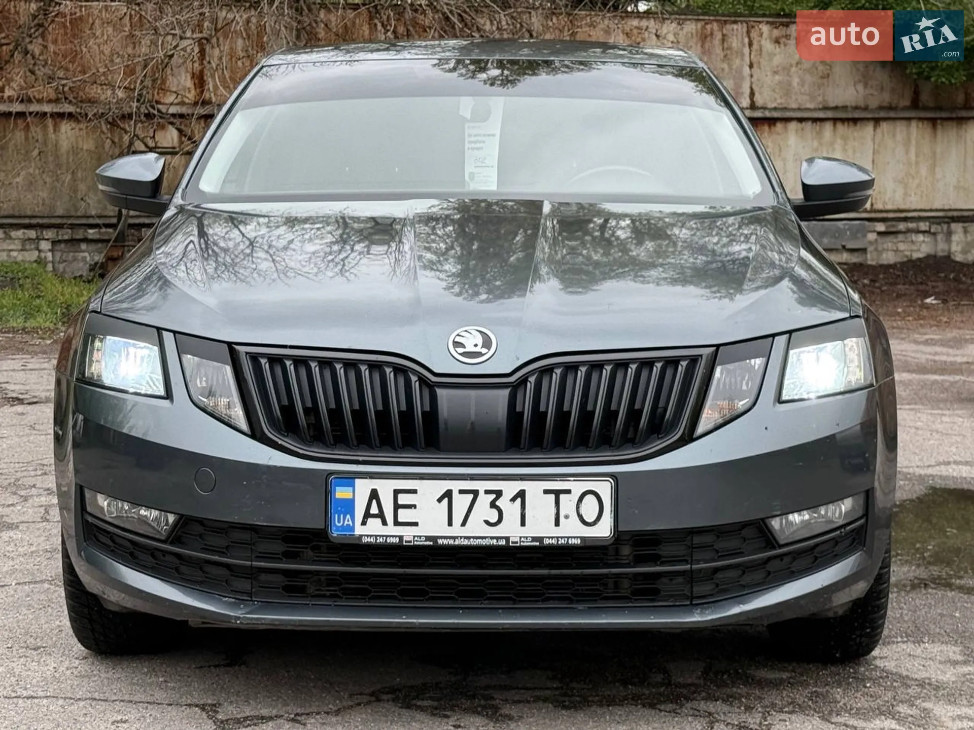 2017 Skoda Octavia - мініатюра 3