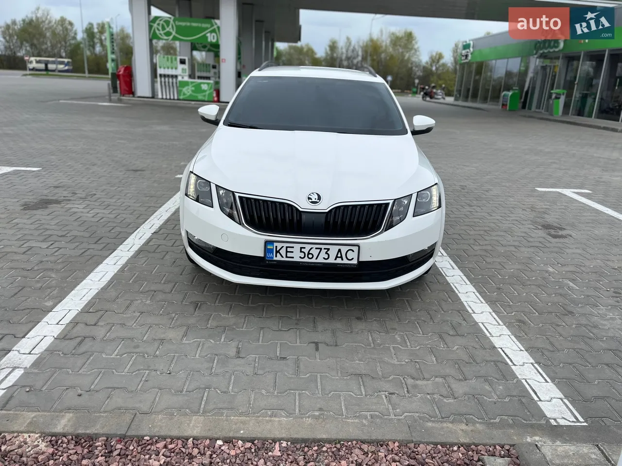 2019 Skoda Octavia - мініатюра 16