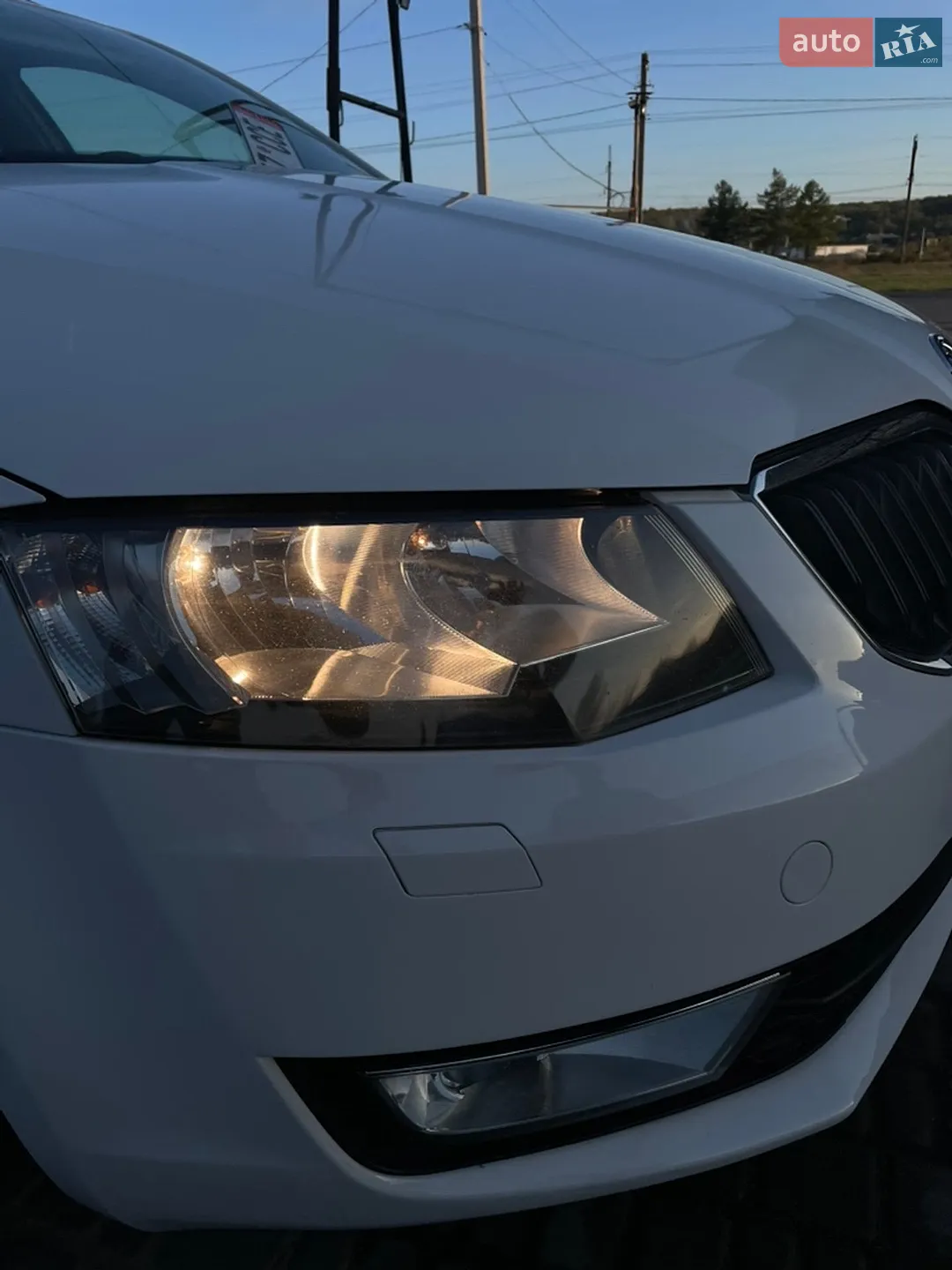 2016 Skoda Octavia - мініатюра 5