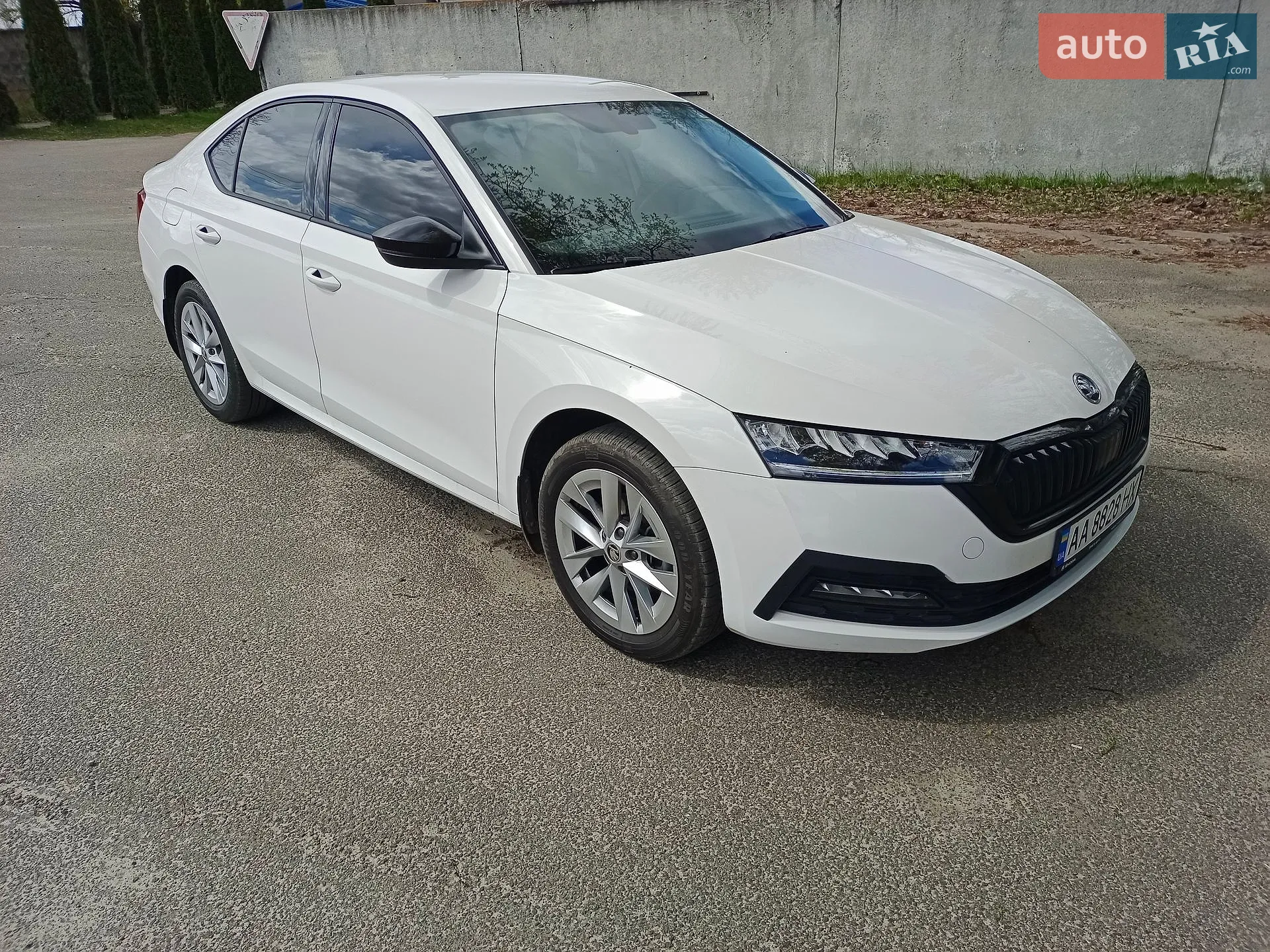 2023 Skoda Octavia - мініатюра 8