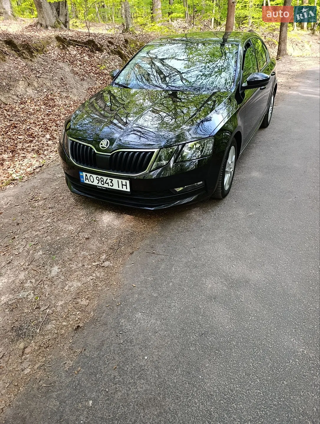 2019 Skoda Octavia - мініатюра 3
