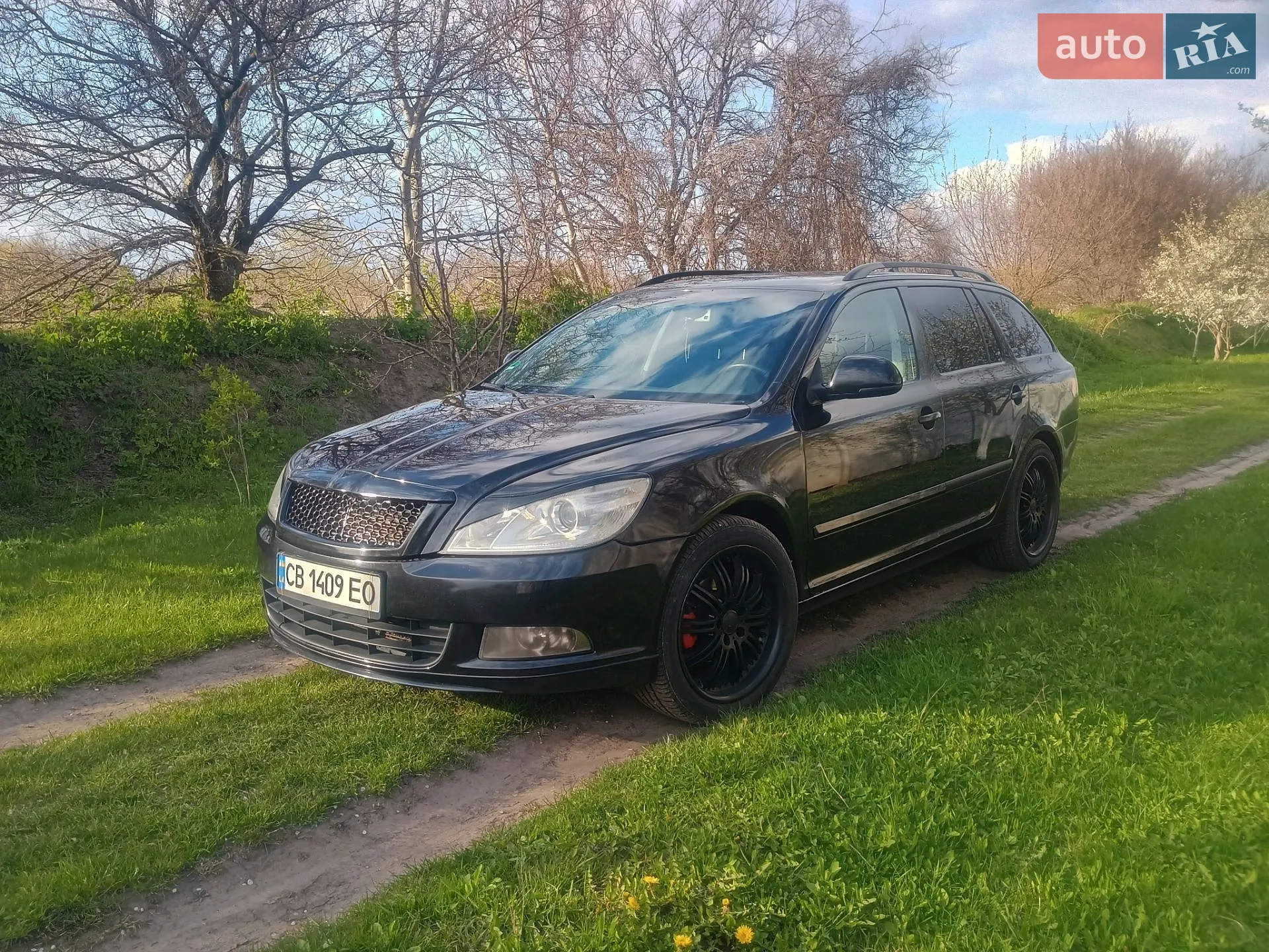 2011 Skoda Octavia - мініатюра 4