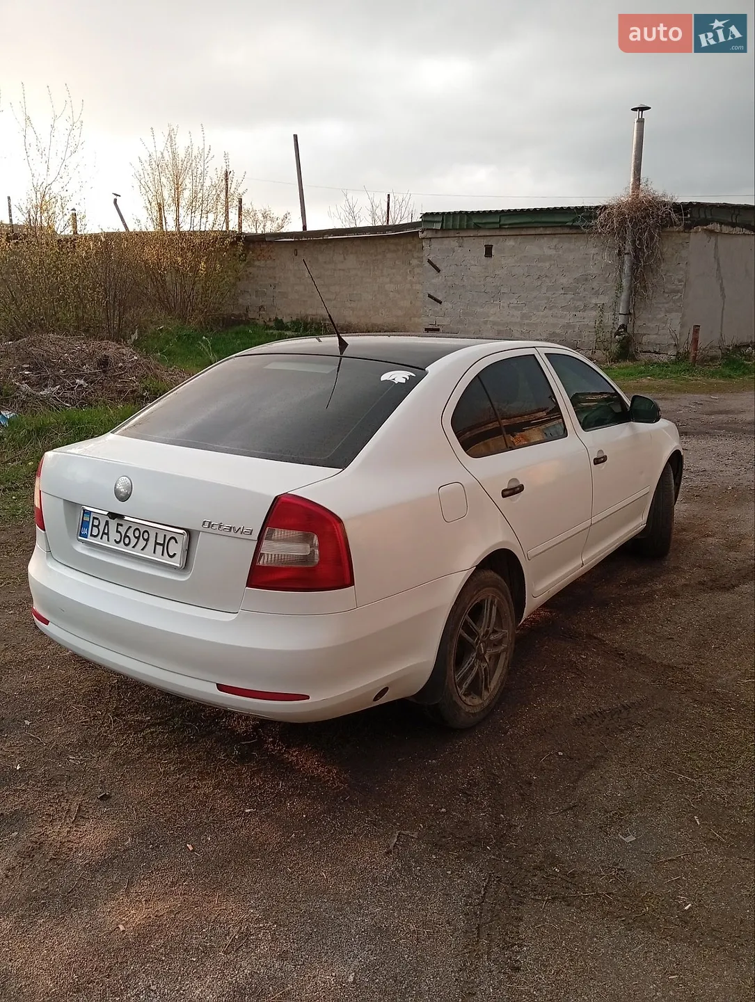 2010 Skoda Octavia - мініатюра 17