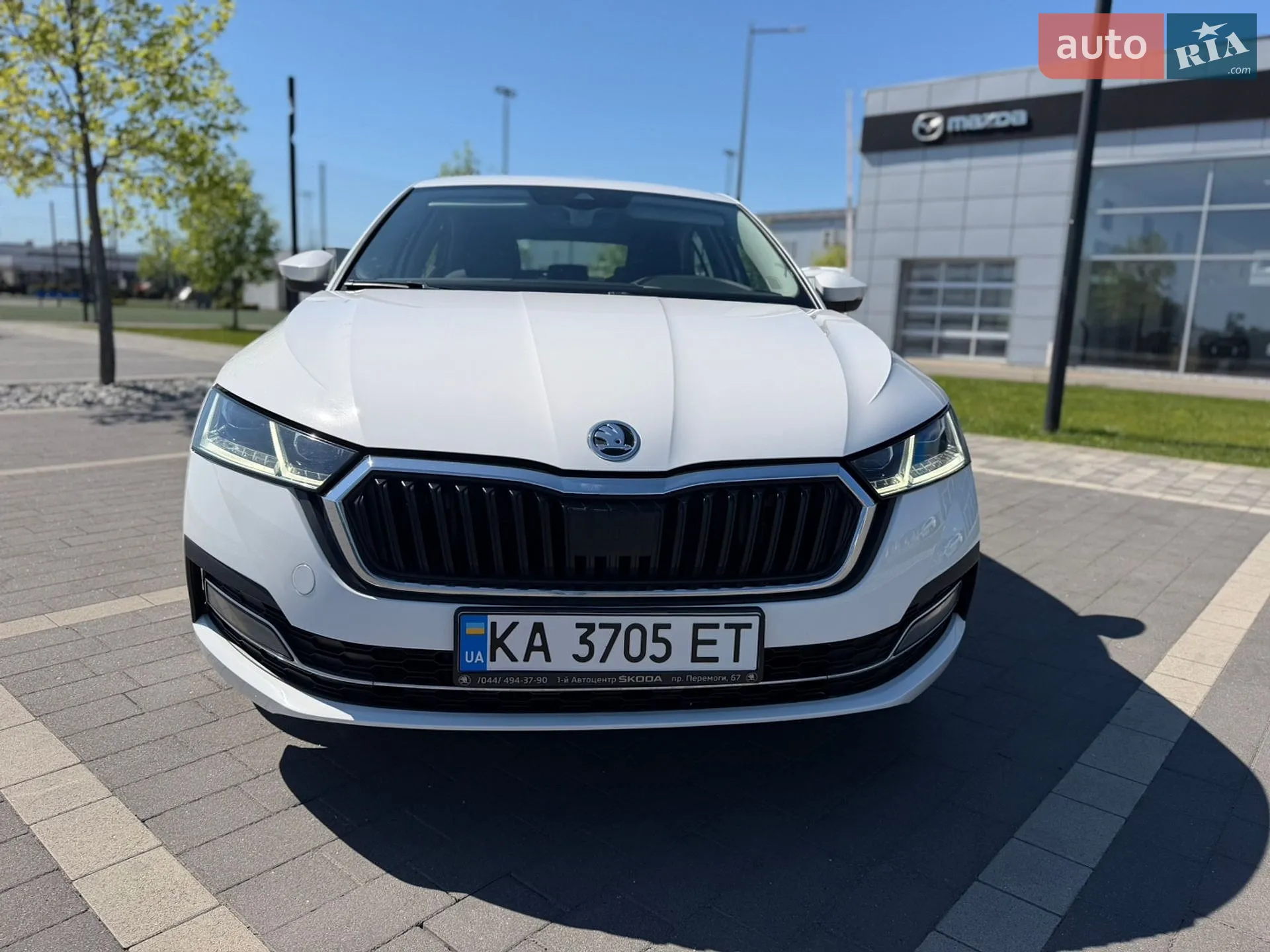 2021 Skoda Octavia - мініатюра 6