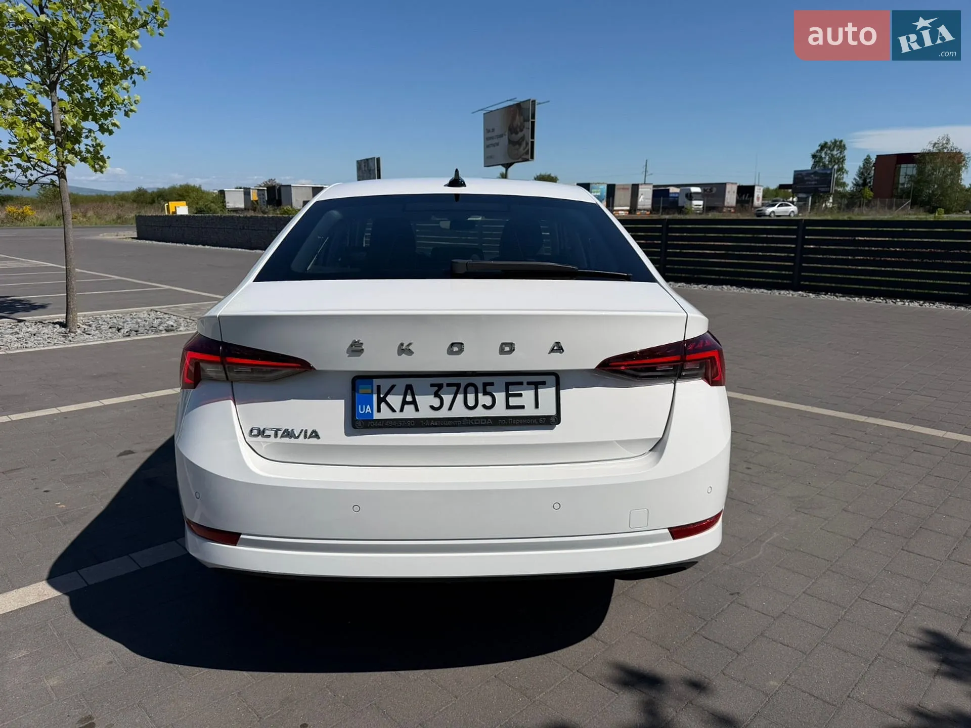 2021 Skoda Octavia - мініатюра 13