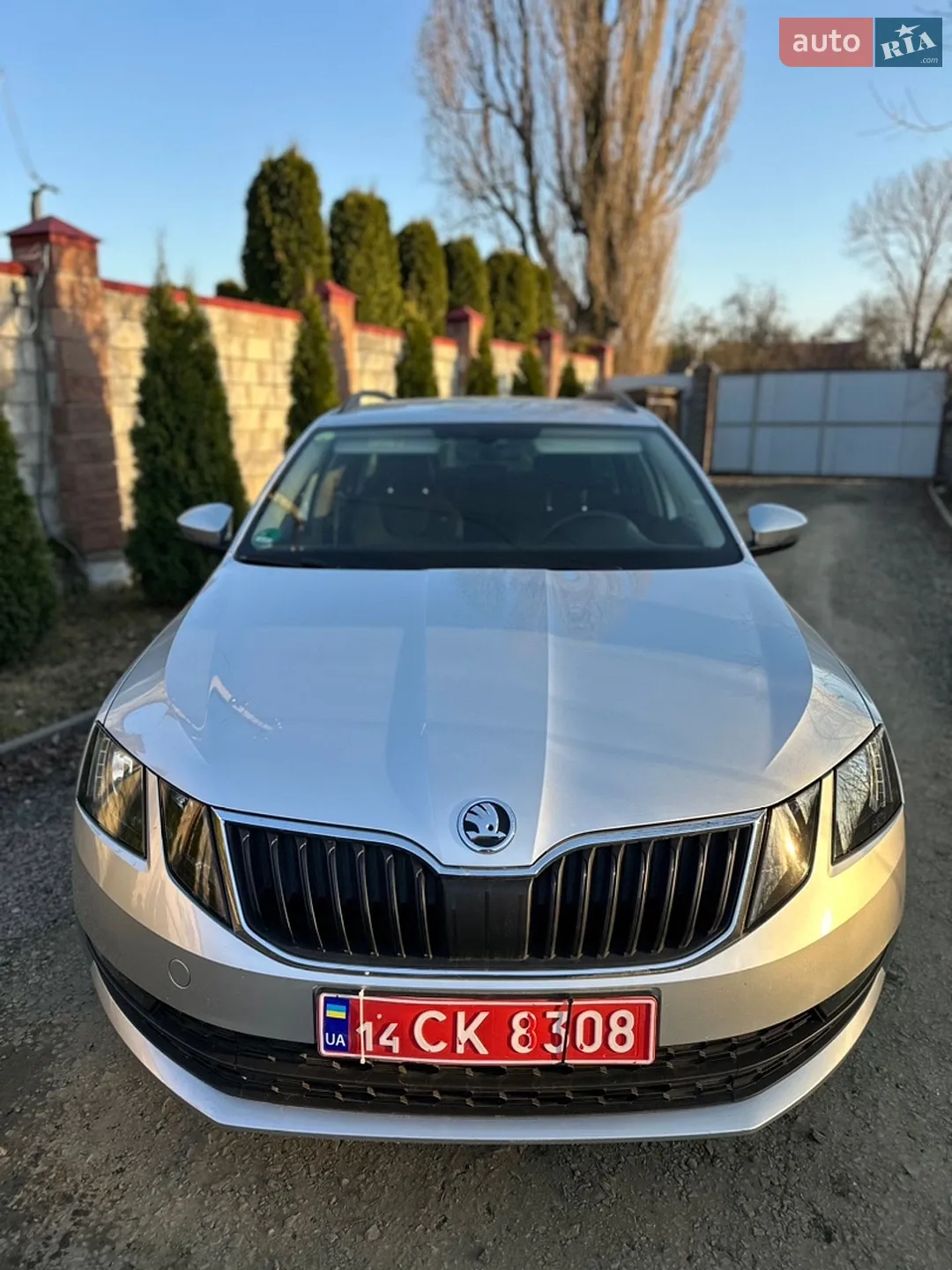 2019 Skoda Octavia - мініатюра 50