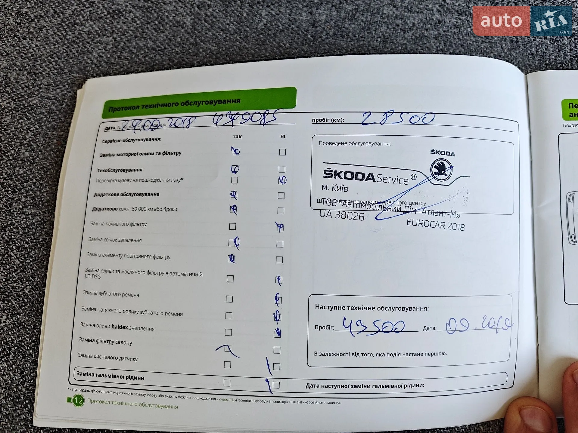 2017 Skoda Octavia - мініатюра 25