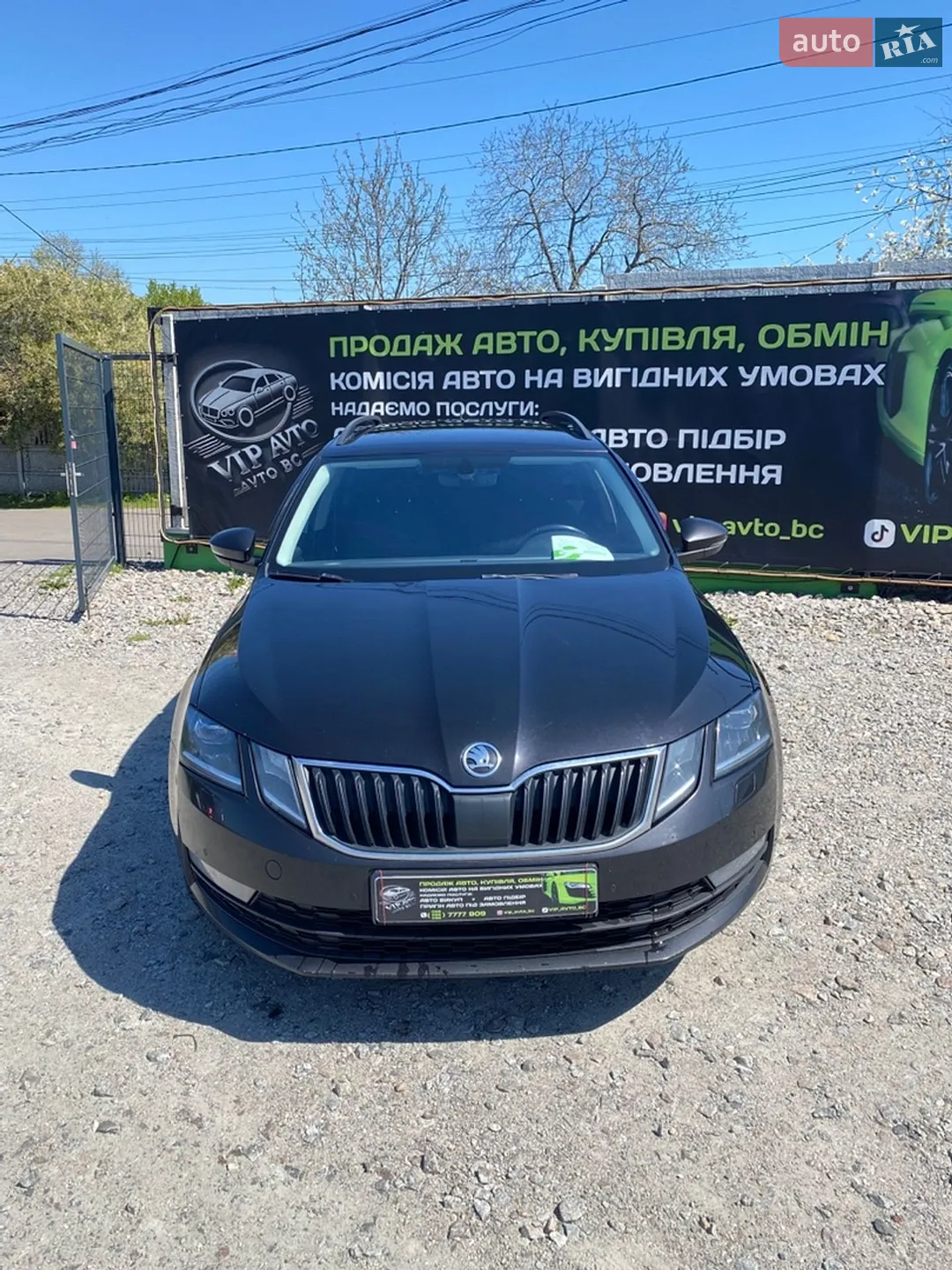 2018 Skoda Octavia - мініатюра 3