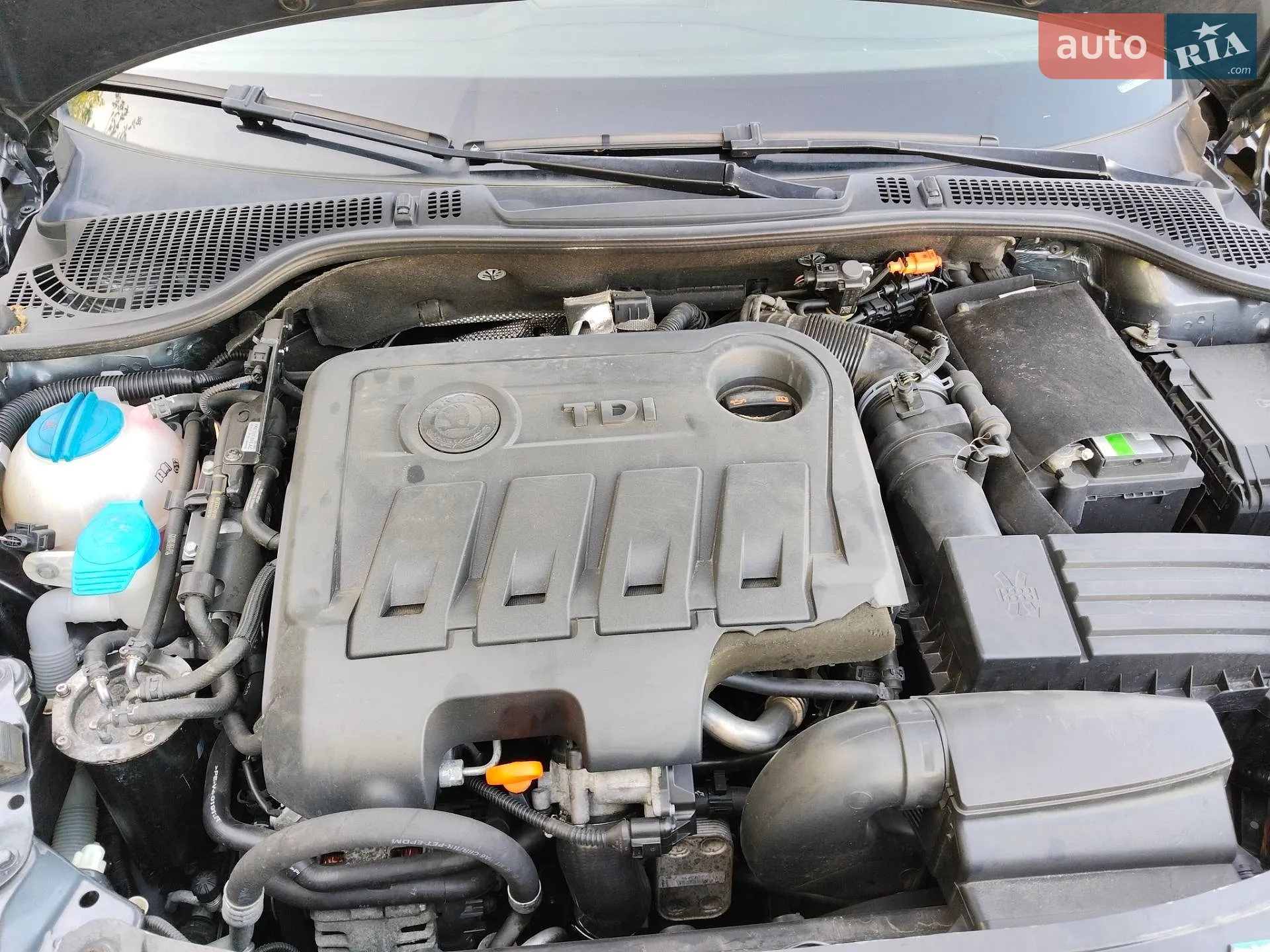 2011 Skoda Octavia - мініатюра 22