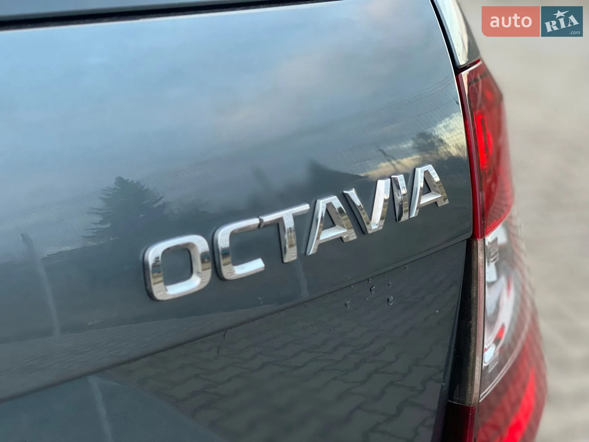 2019 Skoda Octavia - мініатюра 38