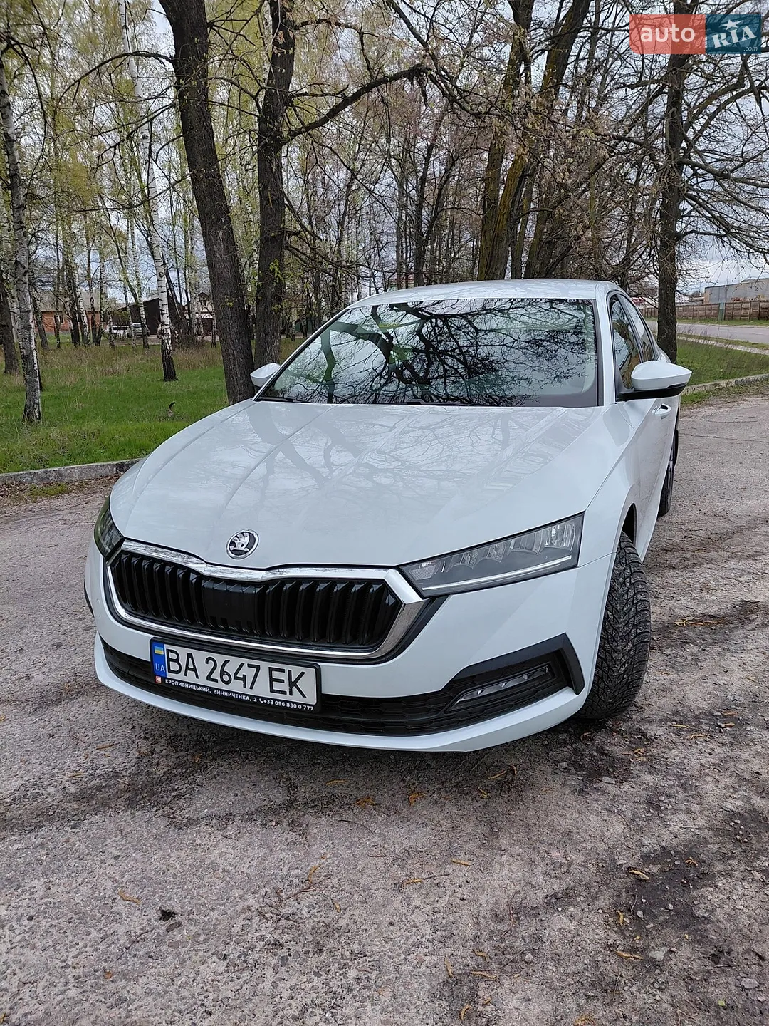 2020 Skoda Octavia - мініатюра 6