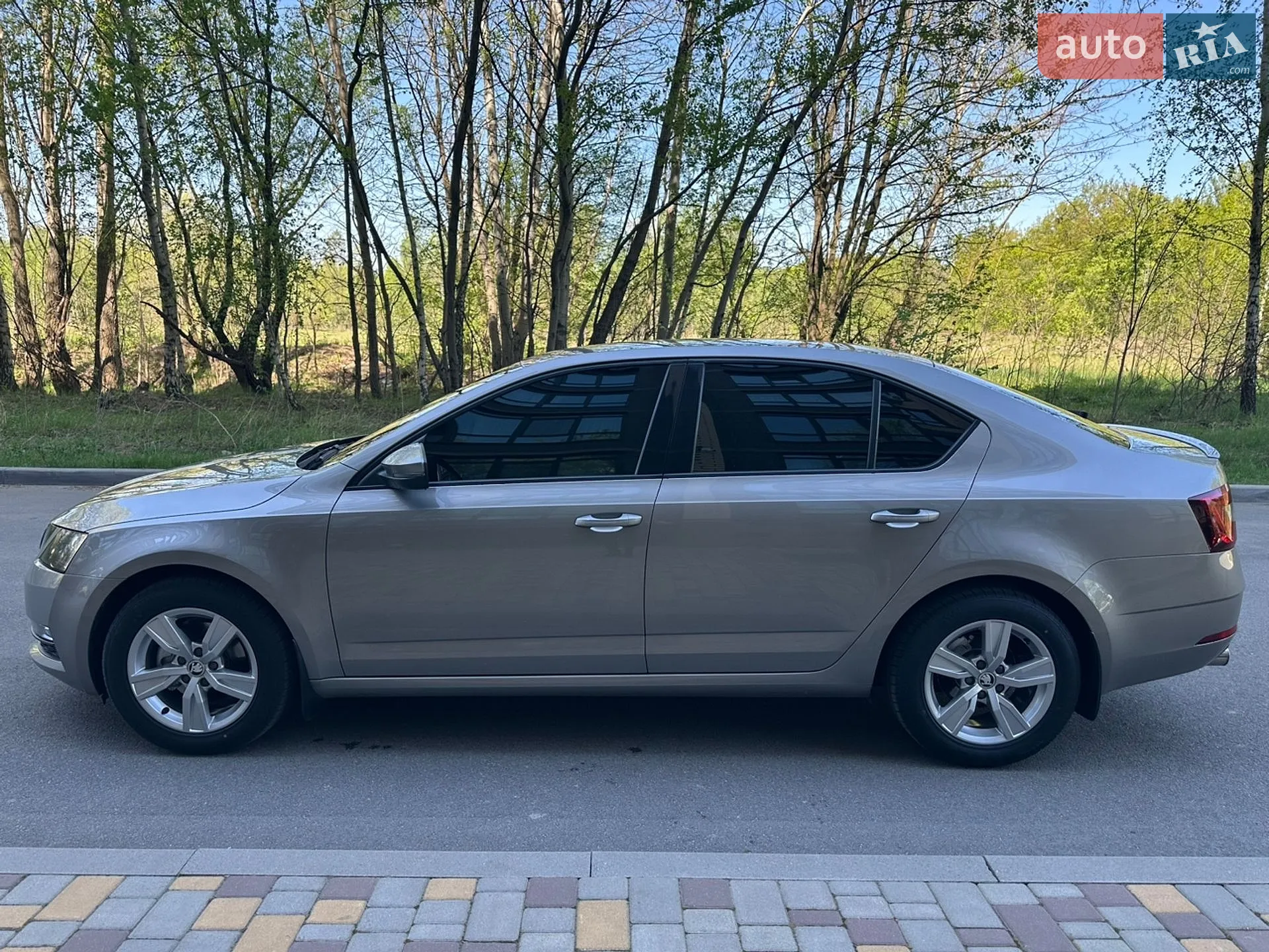 2017 Skoda Octavia - мініатюра 3