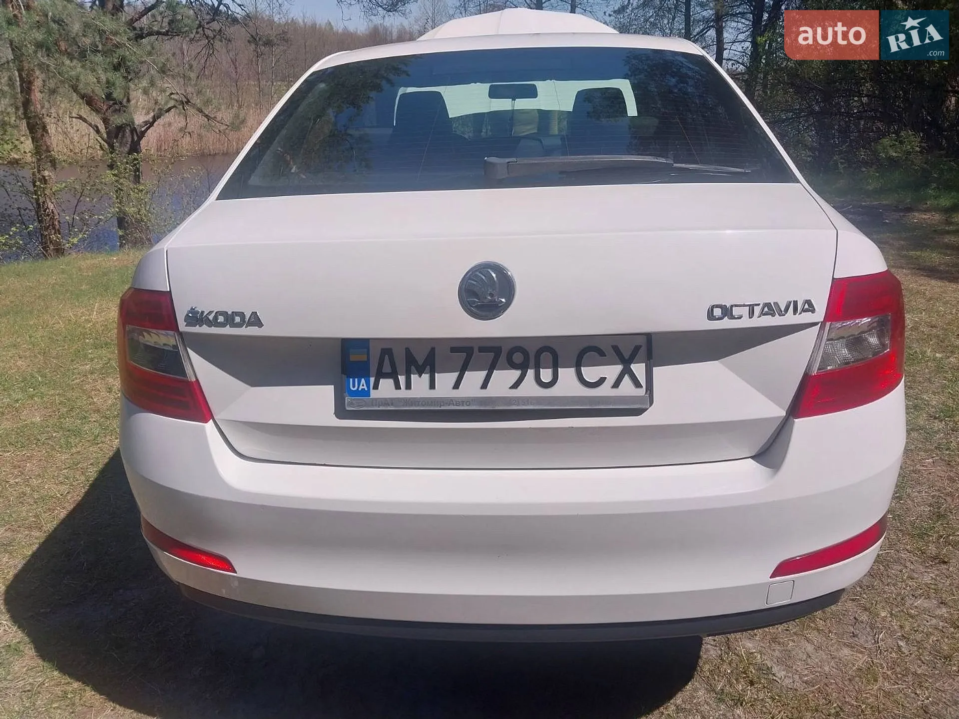 2015 Skoda Octavia - мініатюра 6