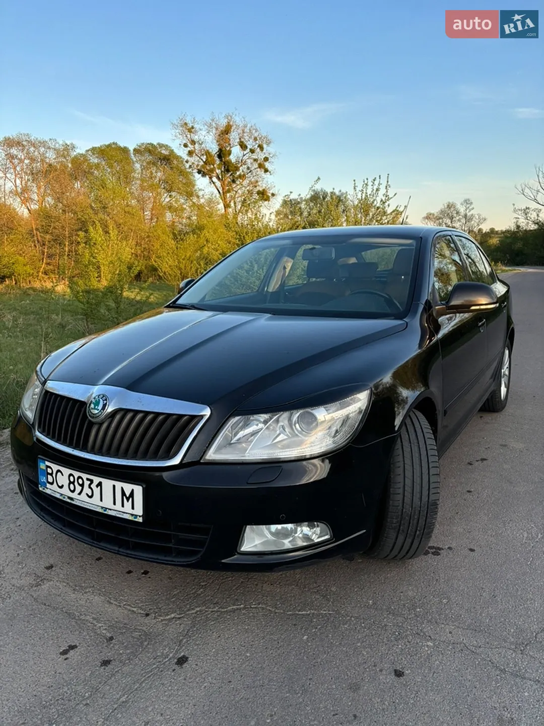 2011 Skoda Octavia - мініатюра 5