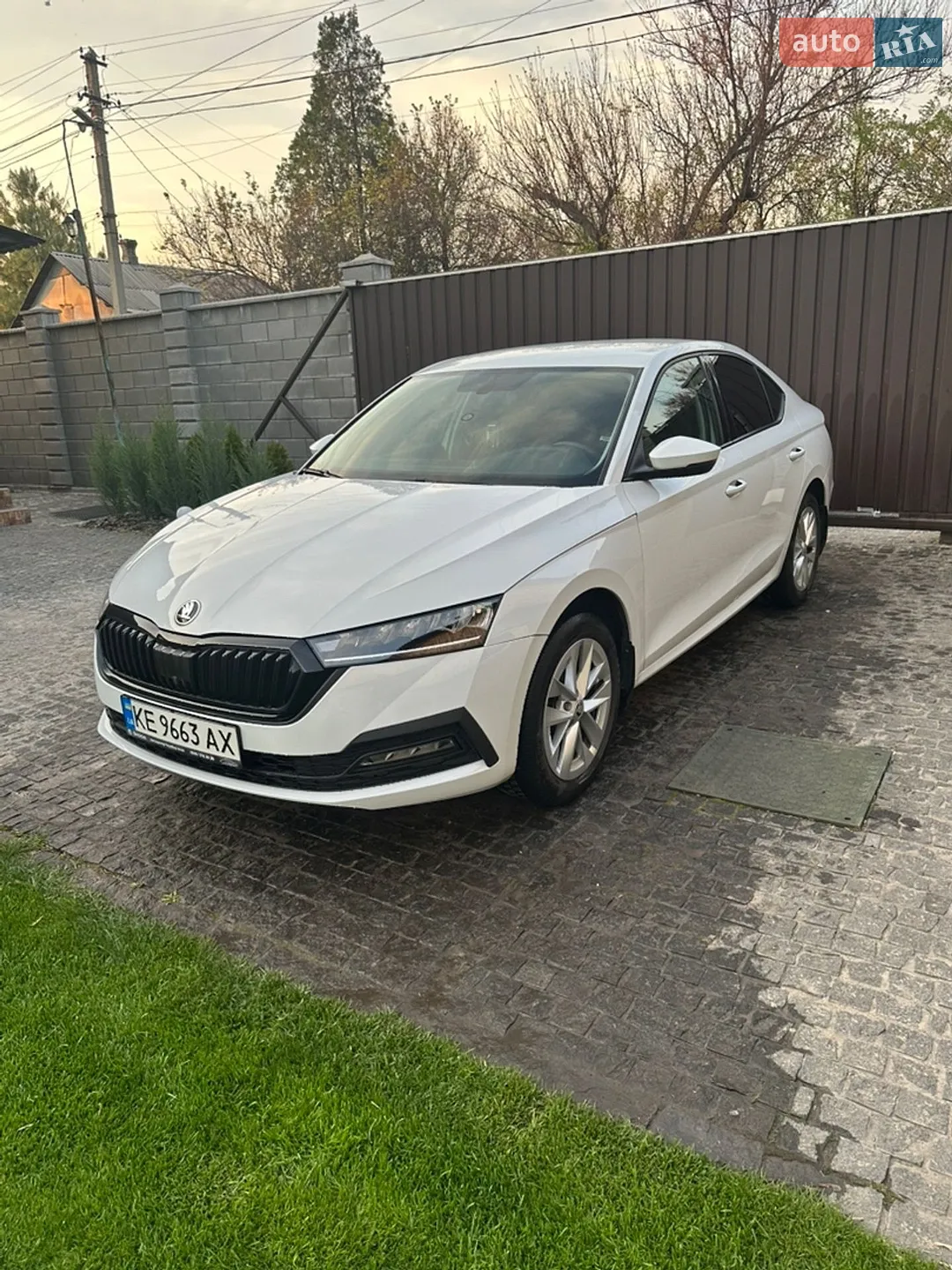 2021 Skoda Octavia - мініатюра 2
