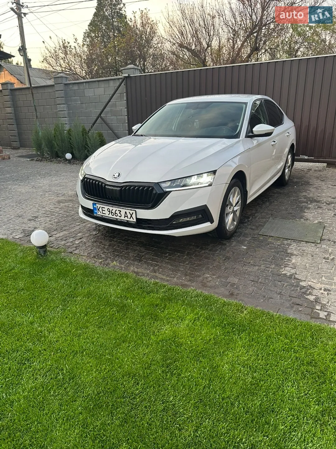 2021 Skoda Octavia - мініатюра 11