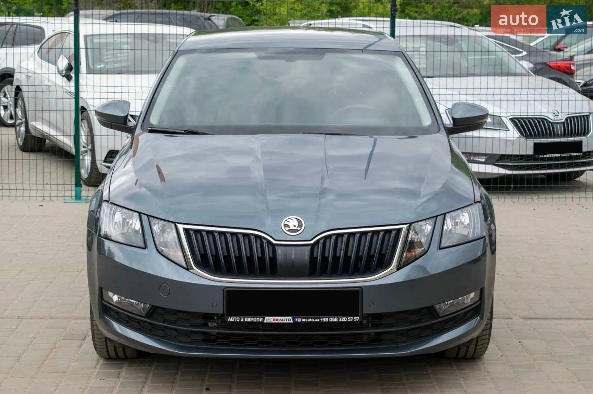 2019 Skoda Octavia - мініатюра 6