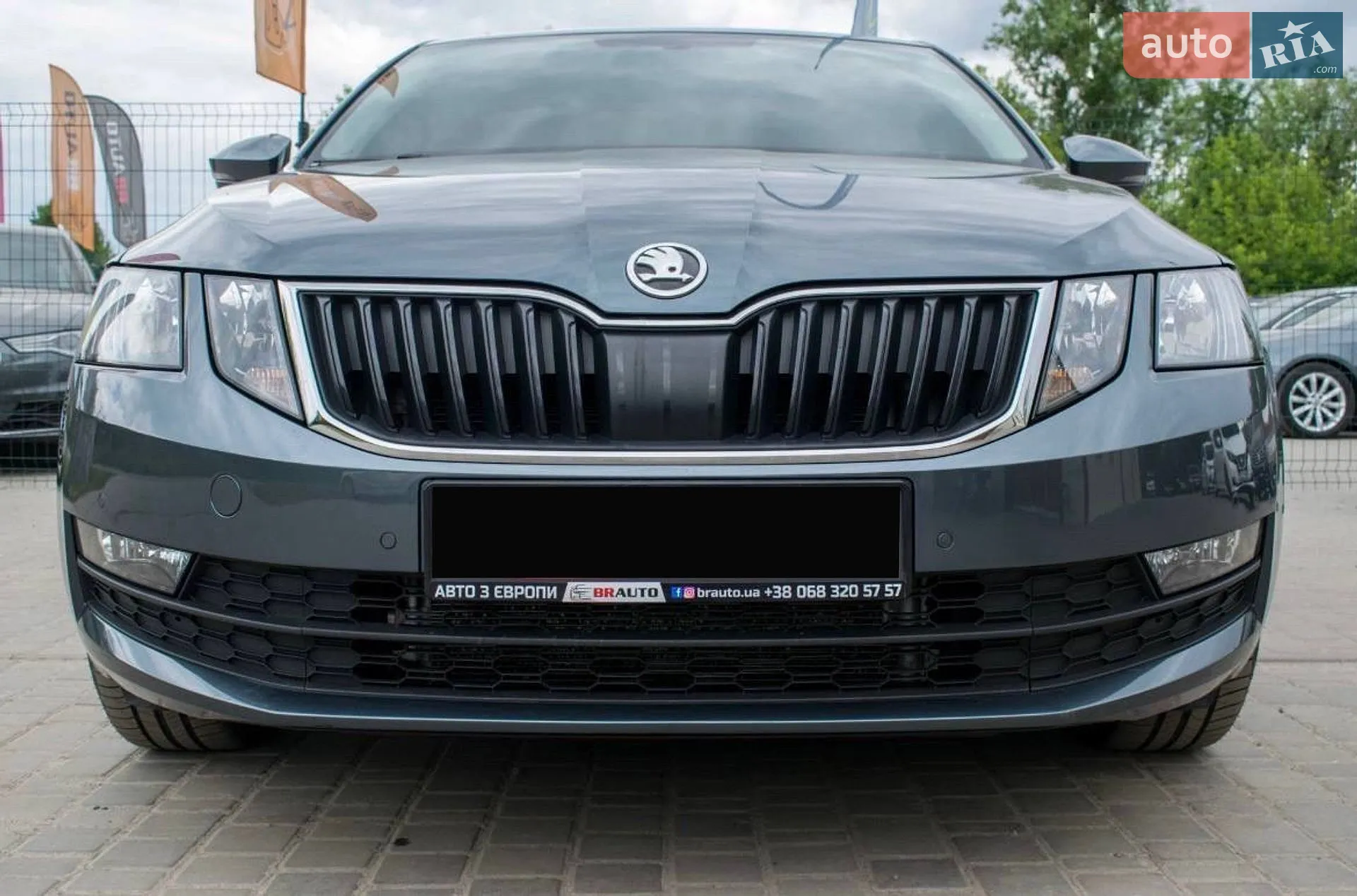 2019 Skoda Octavia - мініатюра 9