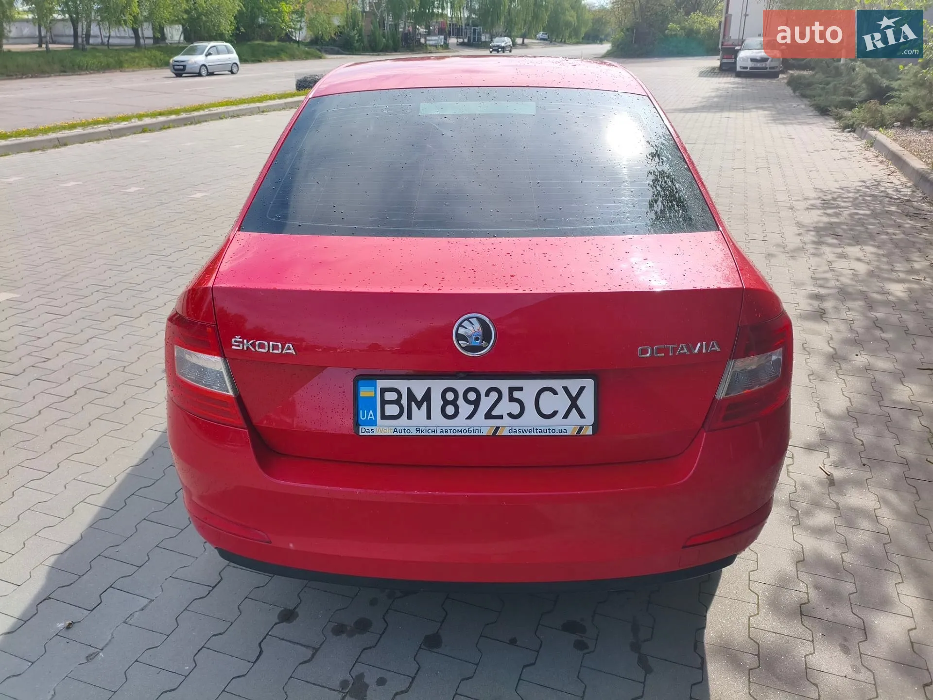 2014 Skoda Octavia - мініатюра 6