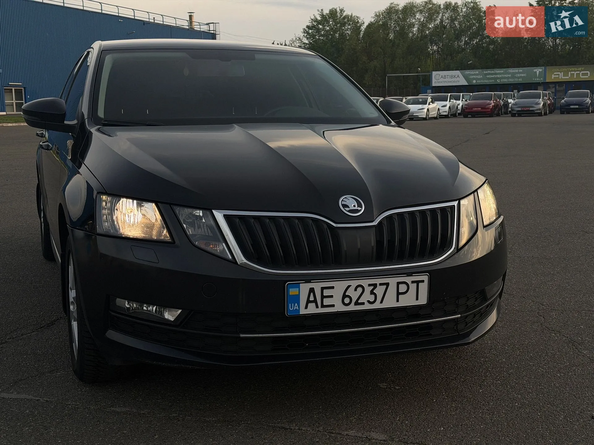 2017 Skoda Octavia - мініатюра 24