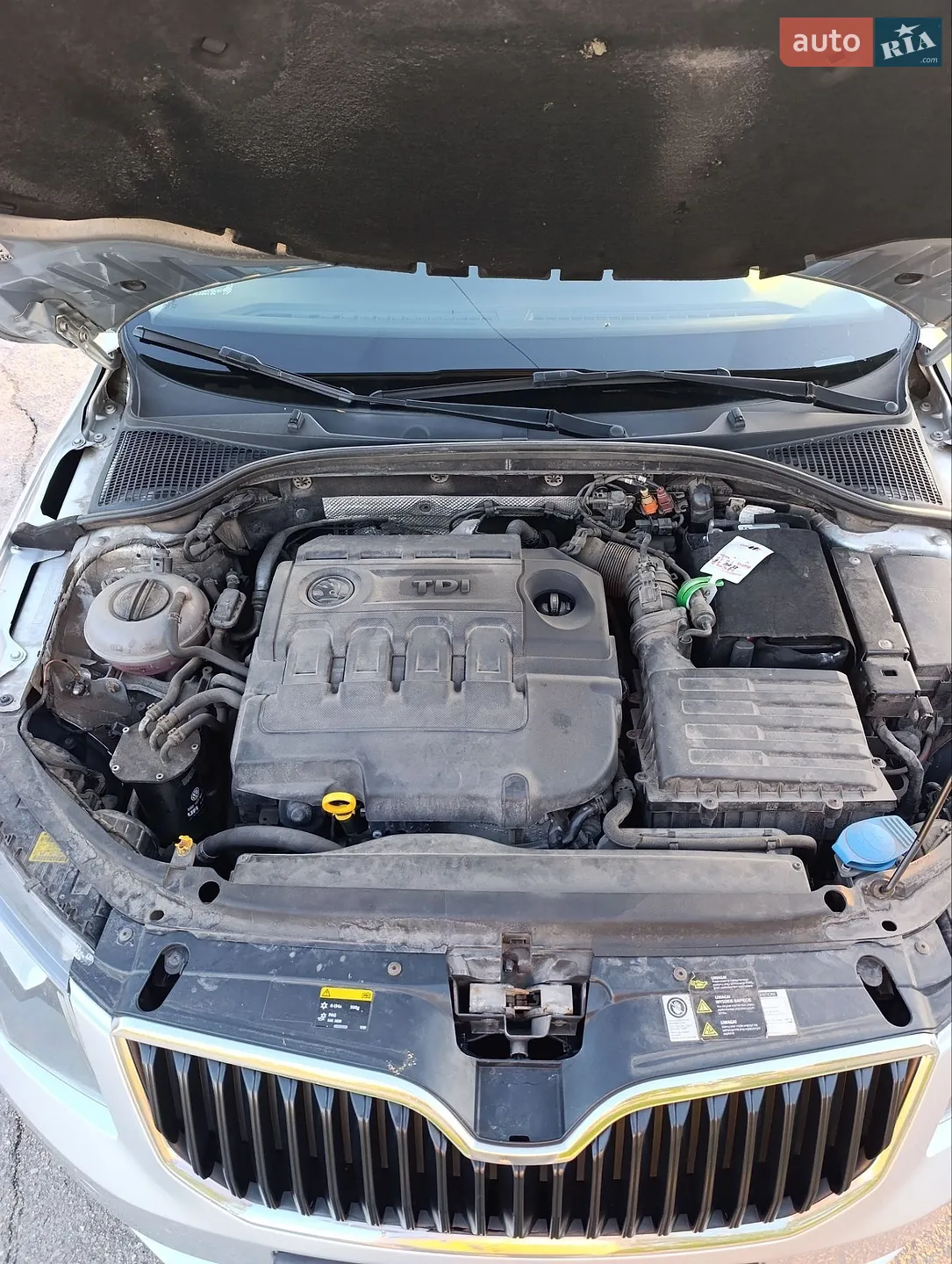 2015 Skoda Octavia - мініатюра 3