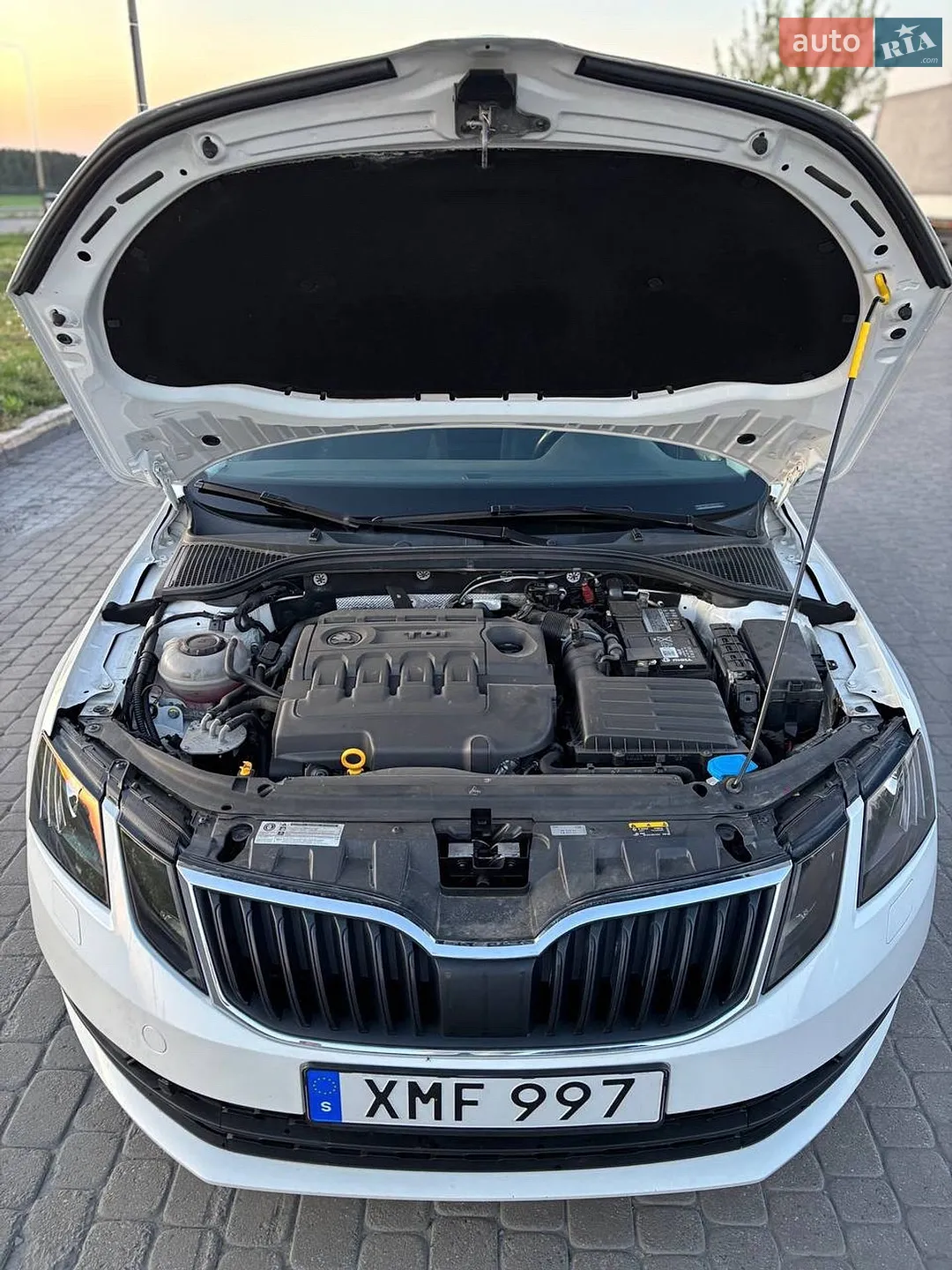 2018 Skoda Octavia - мініатюра 19