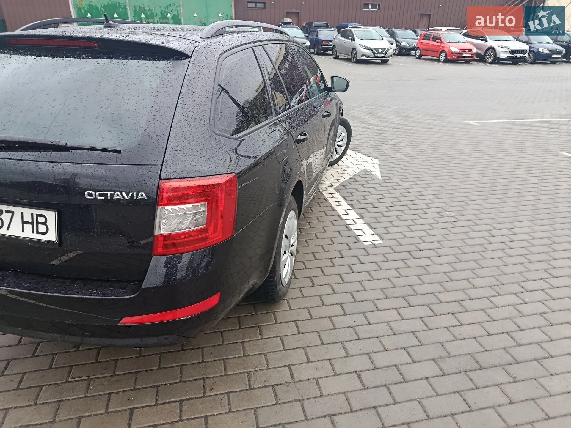 2013 Skoda Octavia - мініатюра 8