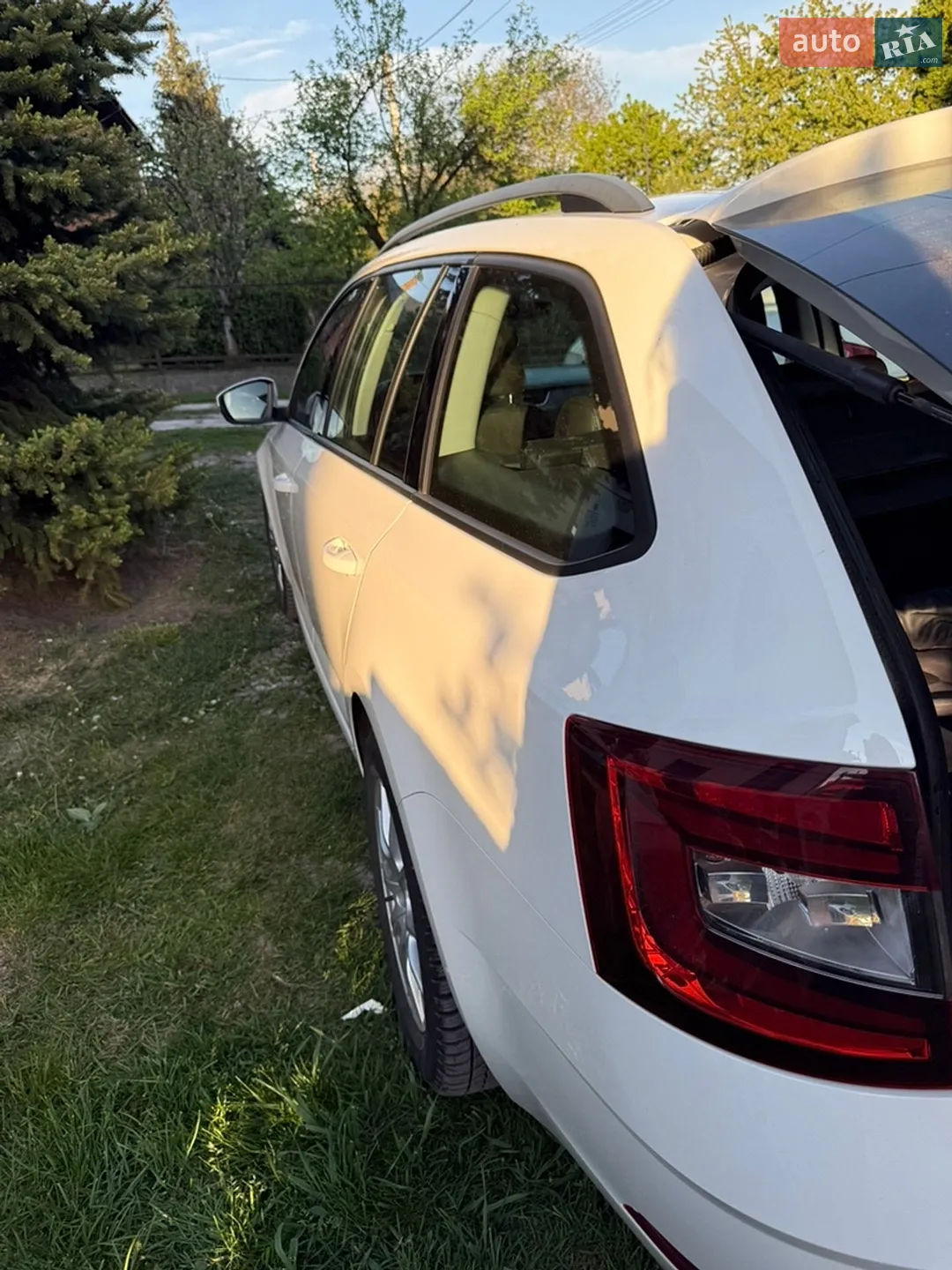 2017 Skoda Octavia - мініатюра 4