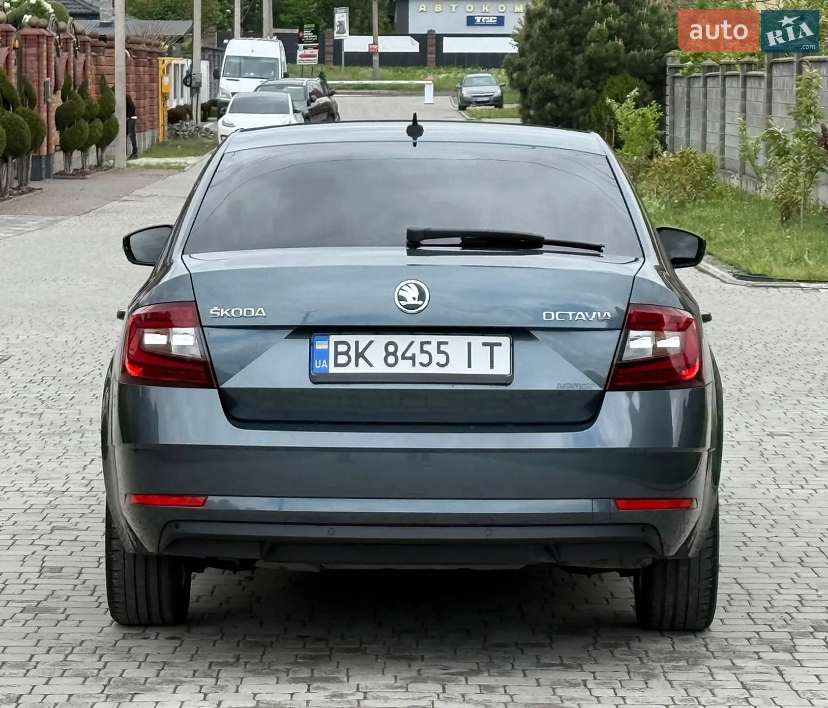 2019 Skoda Octavia - мініатюра 18