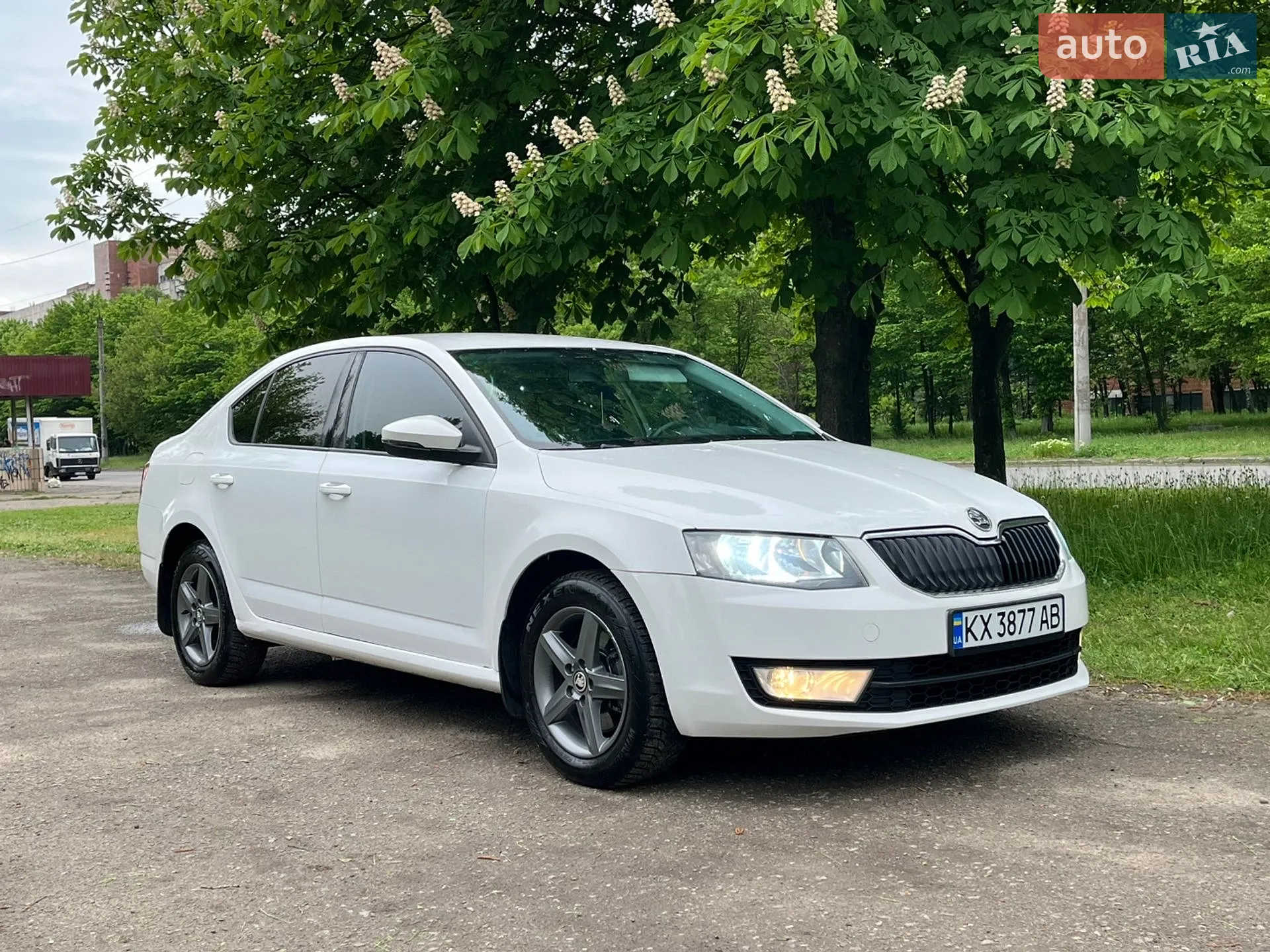 2013 Skoda Octavia - мініатюра 4