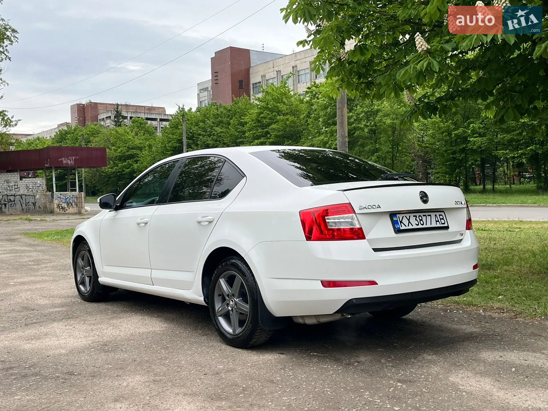 2013 Skoda Octavia - мініатюра 8