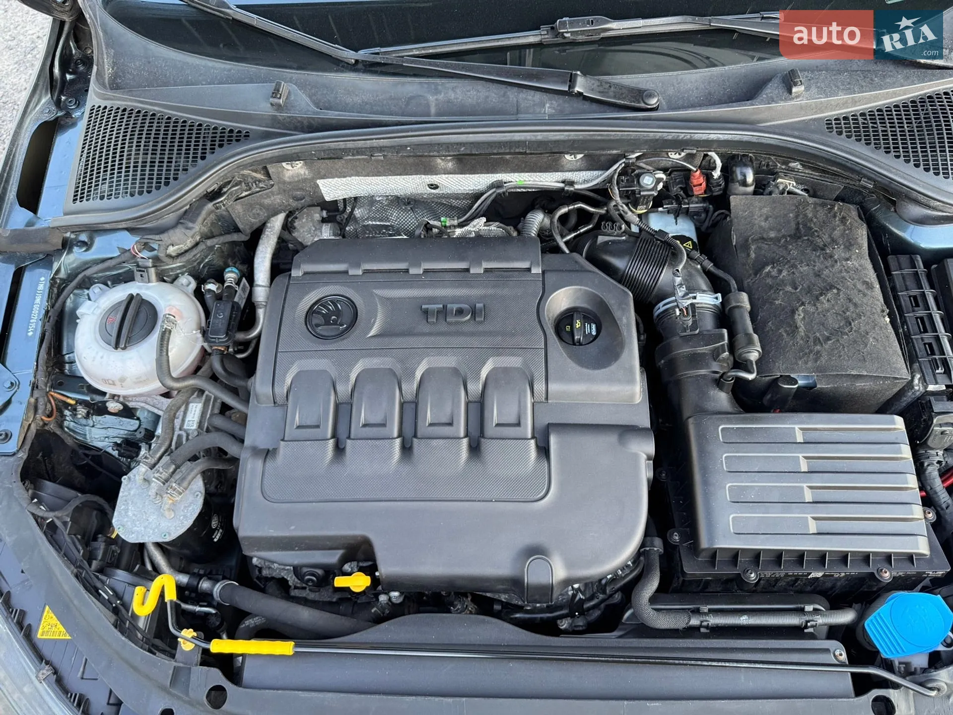 2016 Skoda Octavia - мініатюра 38