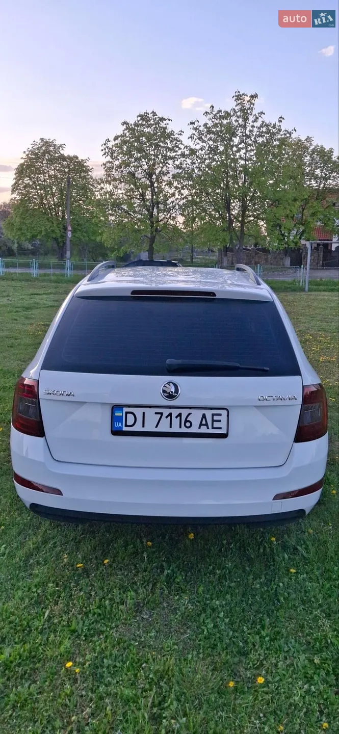 2014 Skoda Octavia - мініатюра 12