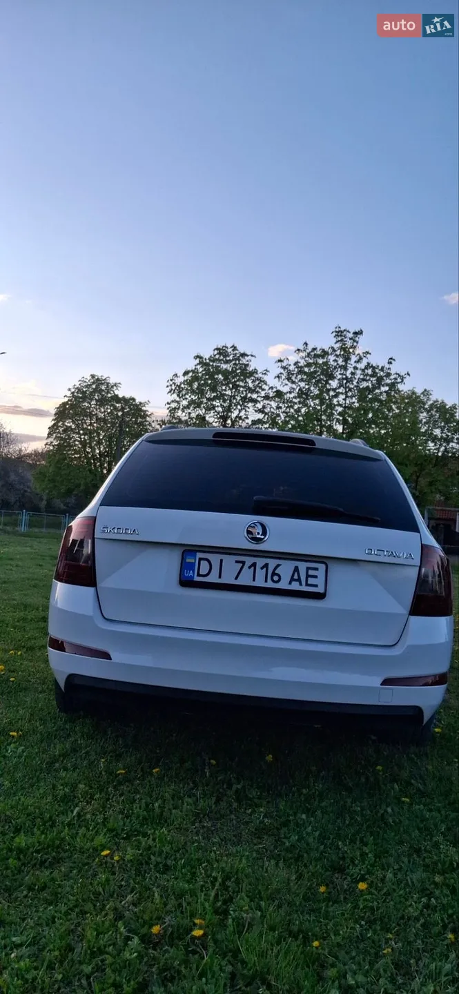 2014 Skoda Octavia - мініатюра 13